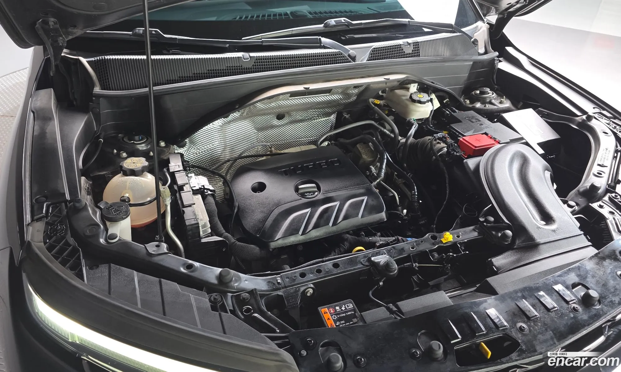Chevrolet (GM Daewoo) Trailblazer 2023 — 13