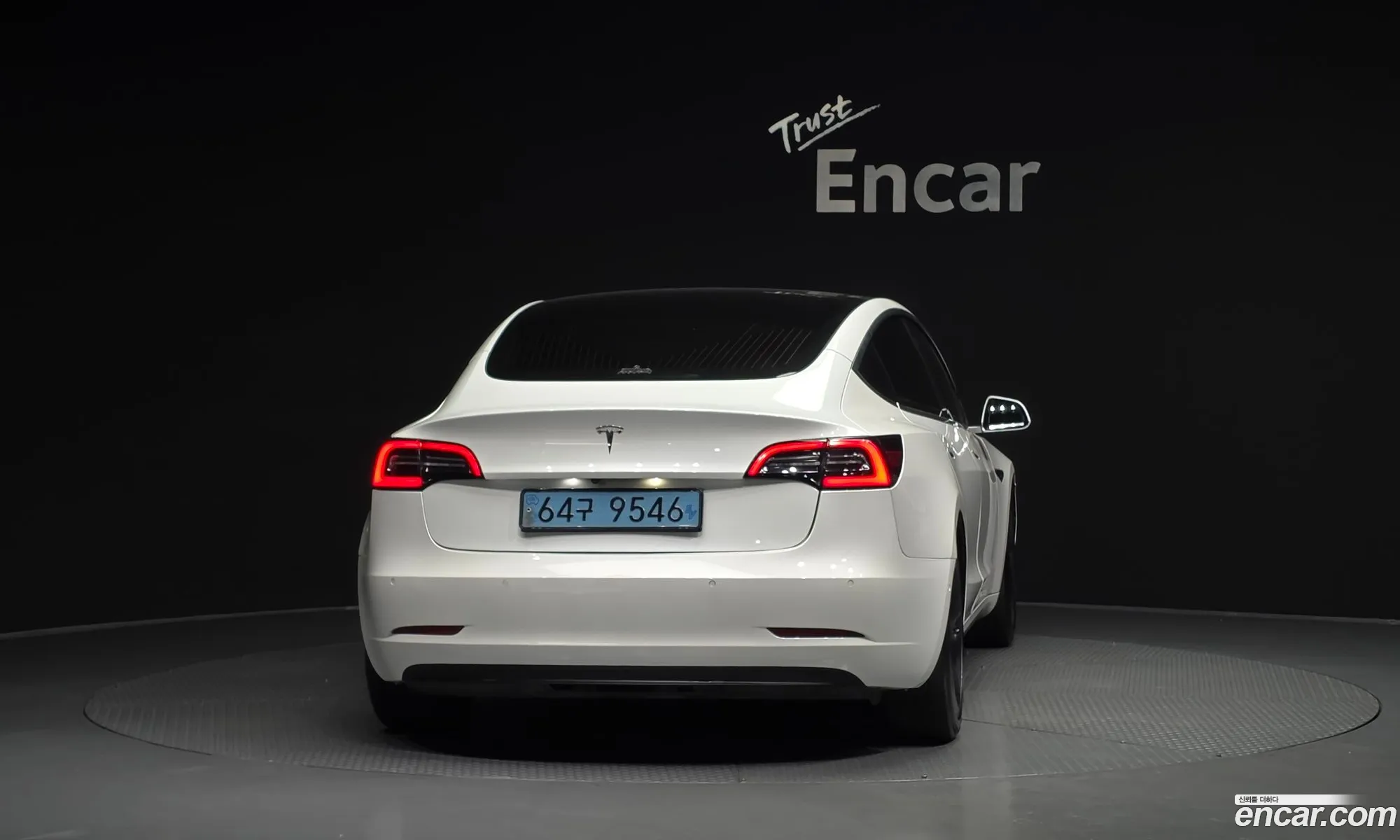 Tesla Model 3 2020 5YJ3E1EAXLF810098 — 13