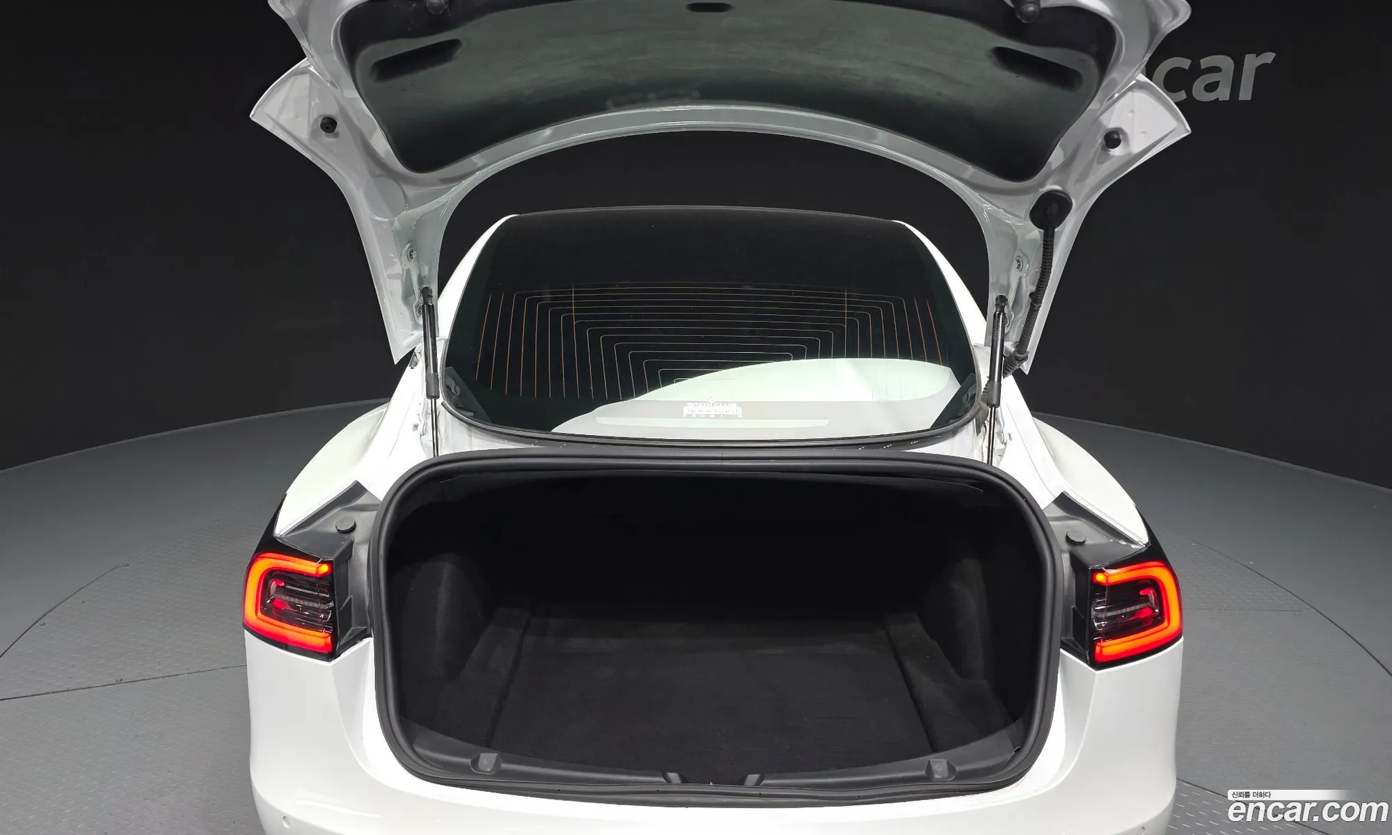 Tesla Model 3 2020 5YJ3E1EAXLF810098 — 17
