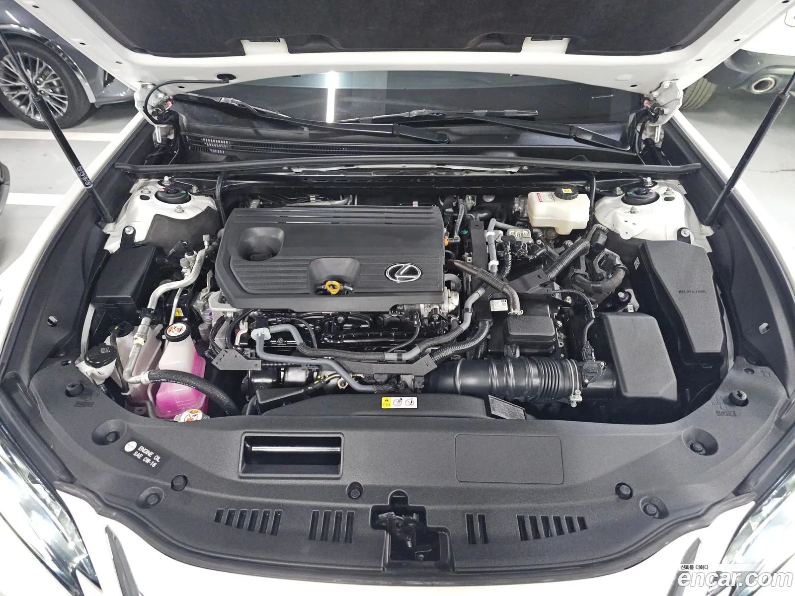 Lexus ES300h 7th Gen 2023 — 18