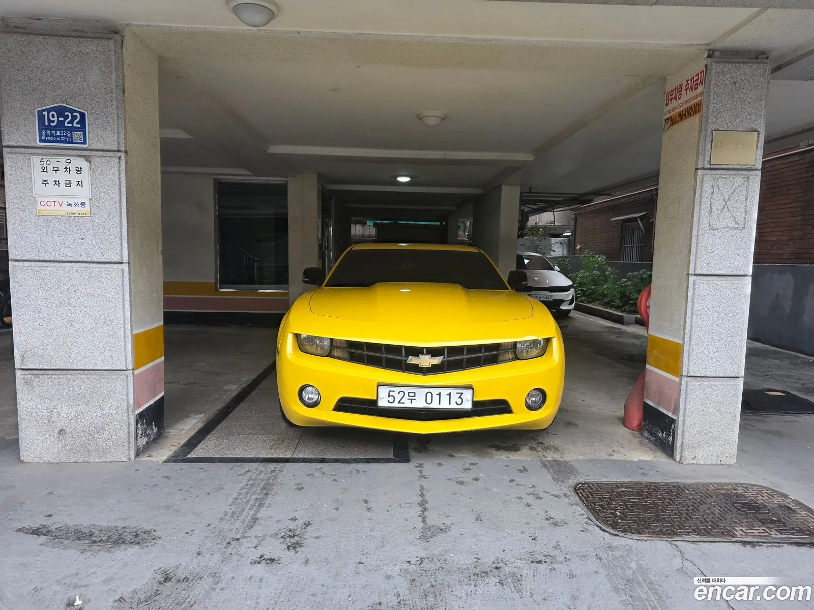 Chevrolet (GM Daewoo) Camaro
