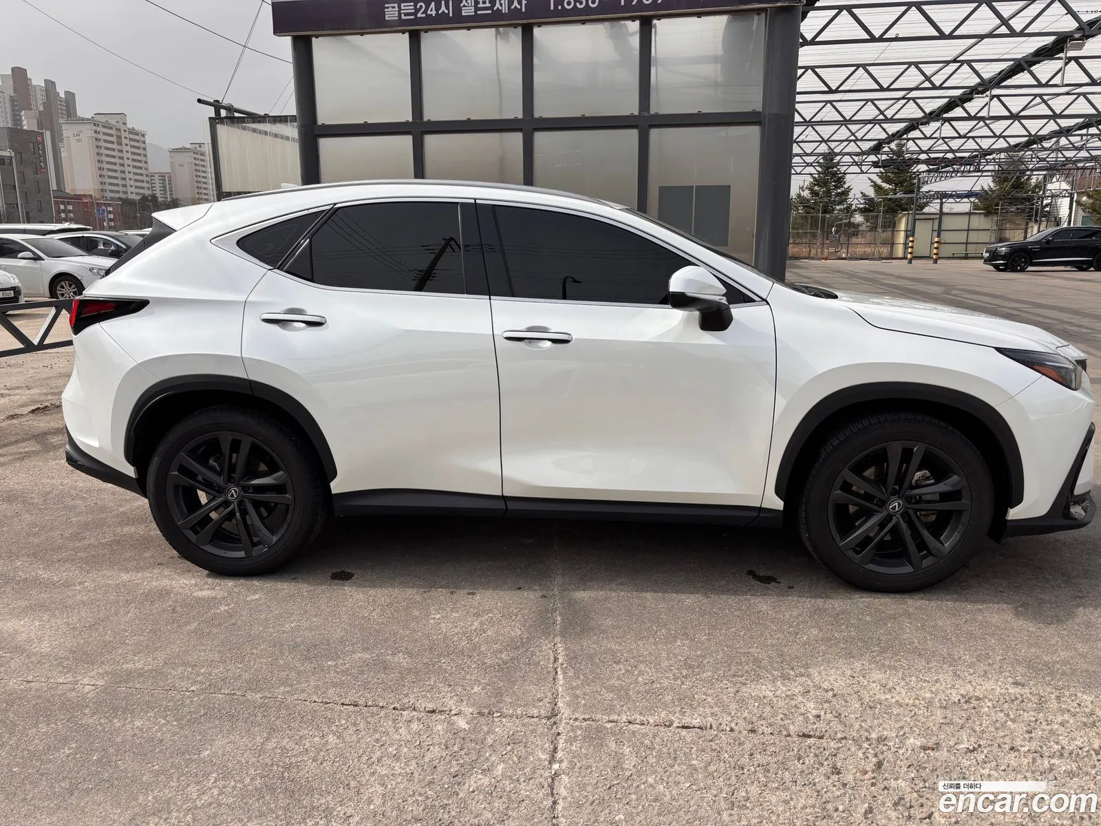 Lexus NX350h 2024 — 12