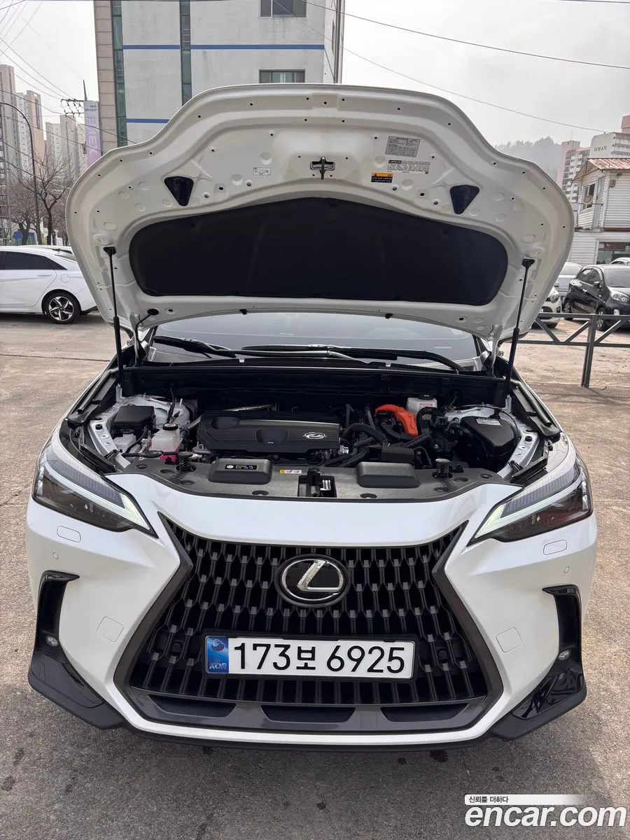 Lexus NX350h 2024 — 7