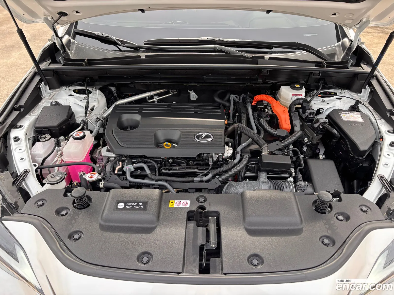 Lexus NX350h 2024 — 15