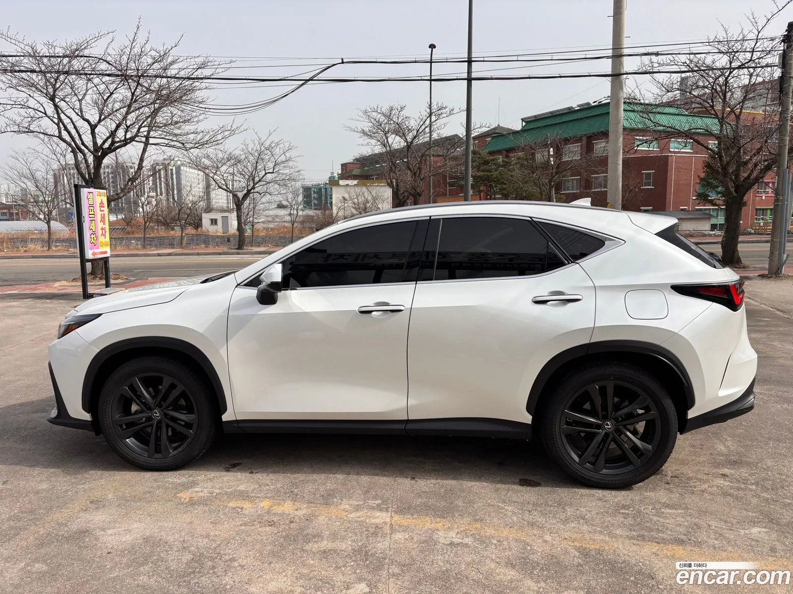 Lexus NX350h 2024 — 11