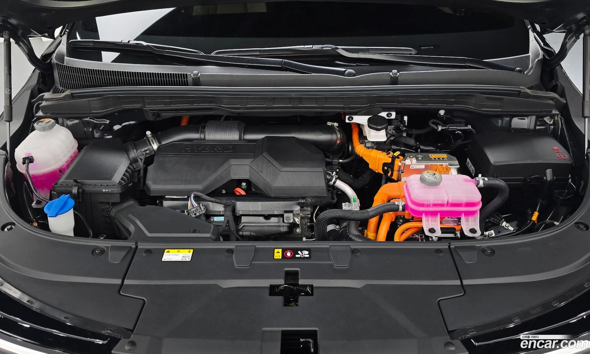 Kia Carnival 2025 KNANE81ABTS117708 — 15