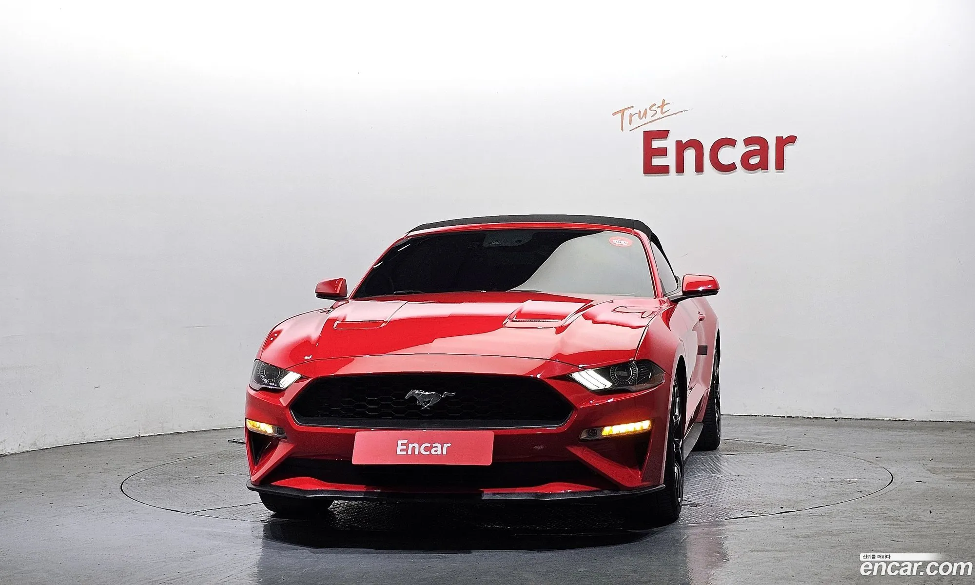 Ford Mustang 2019 1FATP8UH3K5137825 — 14