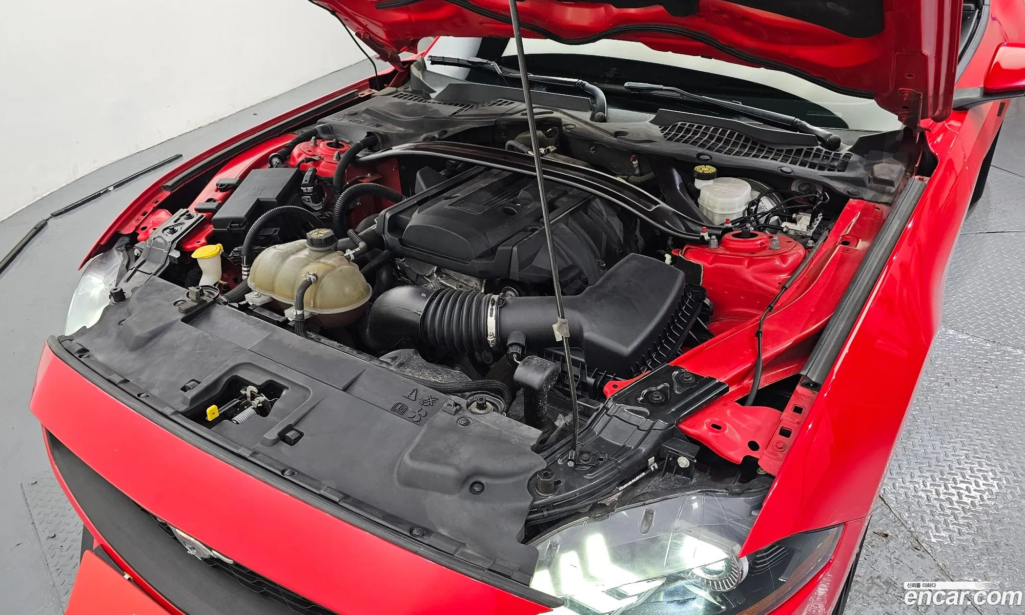 Ford Mustang 2019 1FATP8UH3K5137825 — 28