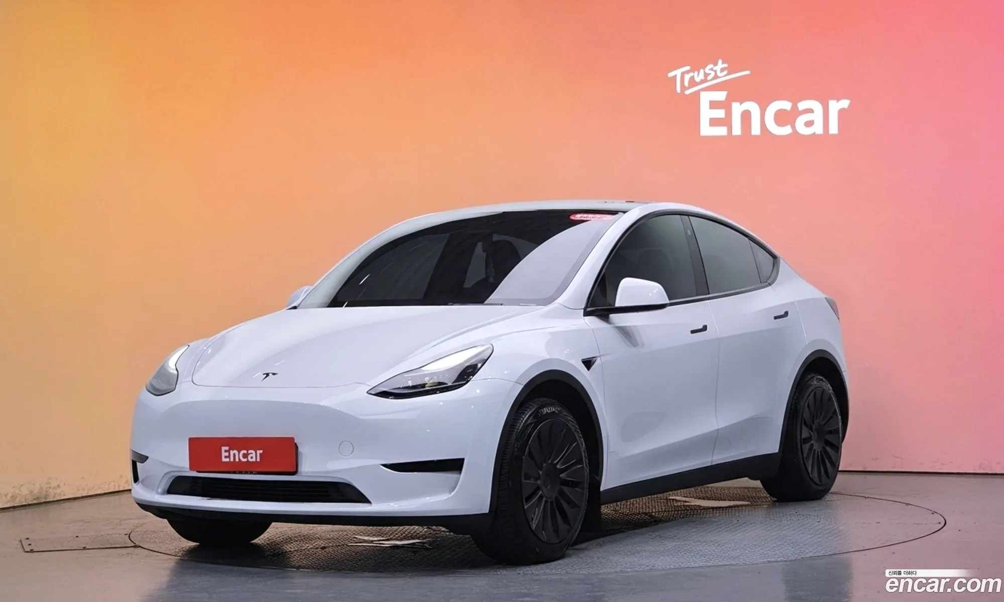 Tesla Model Y 2023 LRWYGCFS111111111 — 12
