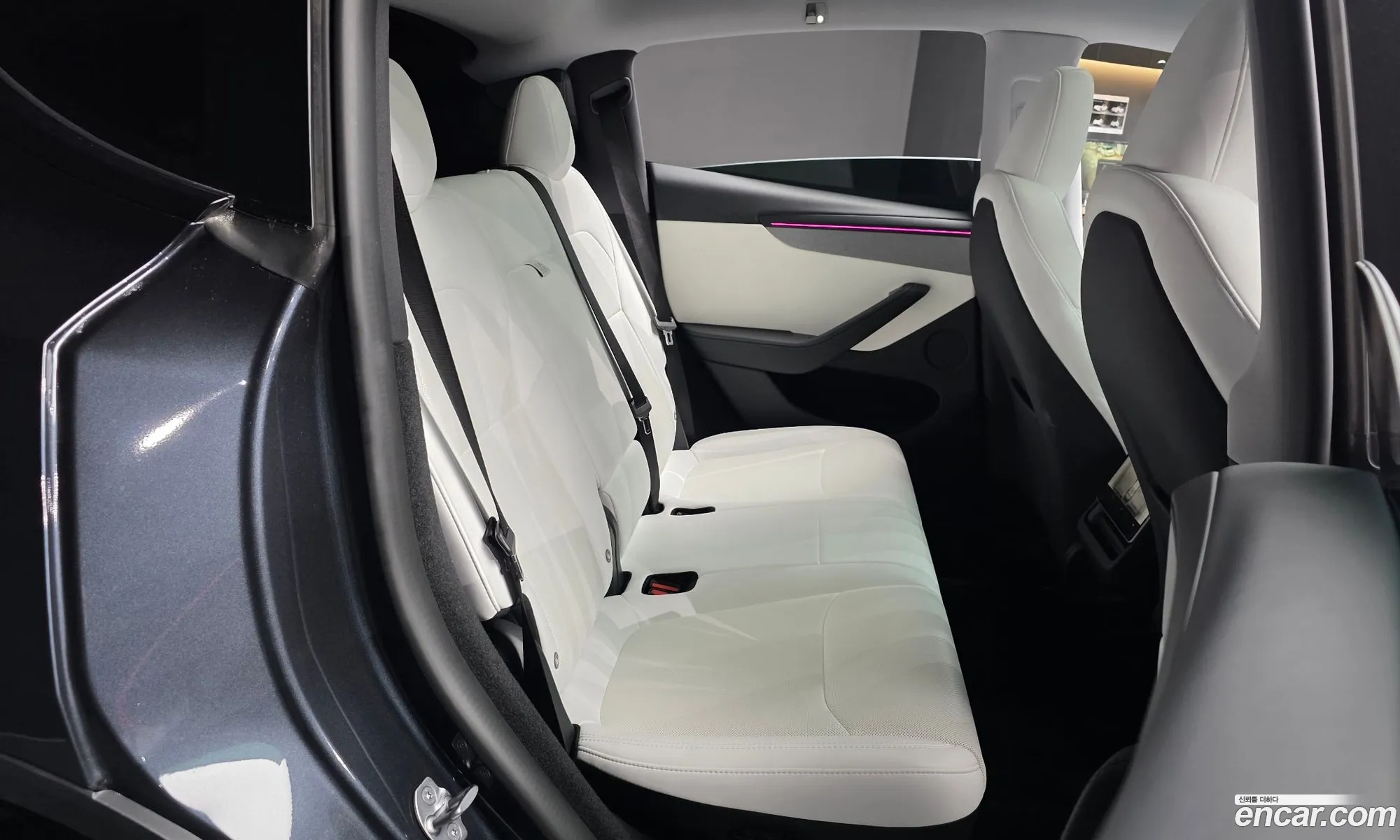 Tesla Model Y 2025 LRWYGCFJ3SC122849 — 22