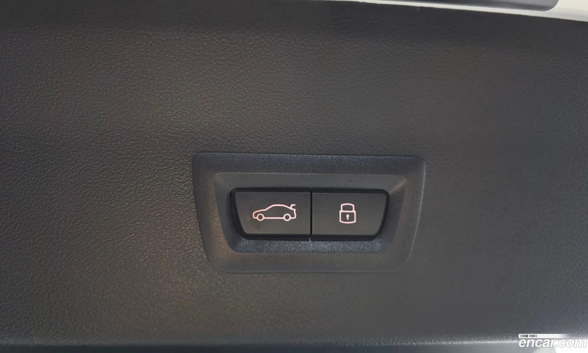 BMW X4 2025 WBA21DT04S9Z46994 — 11