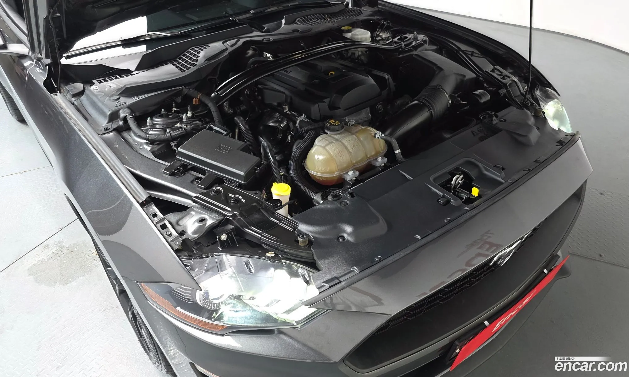 Ford Mustang 2019 1FA6P8TH0K5202998 — 27
