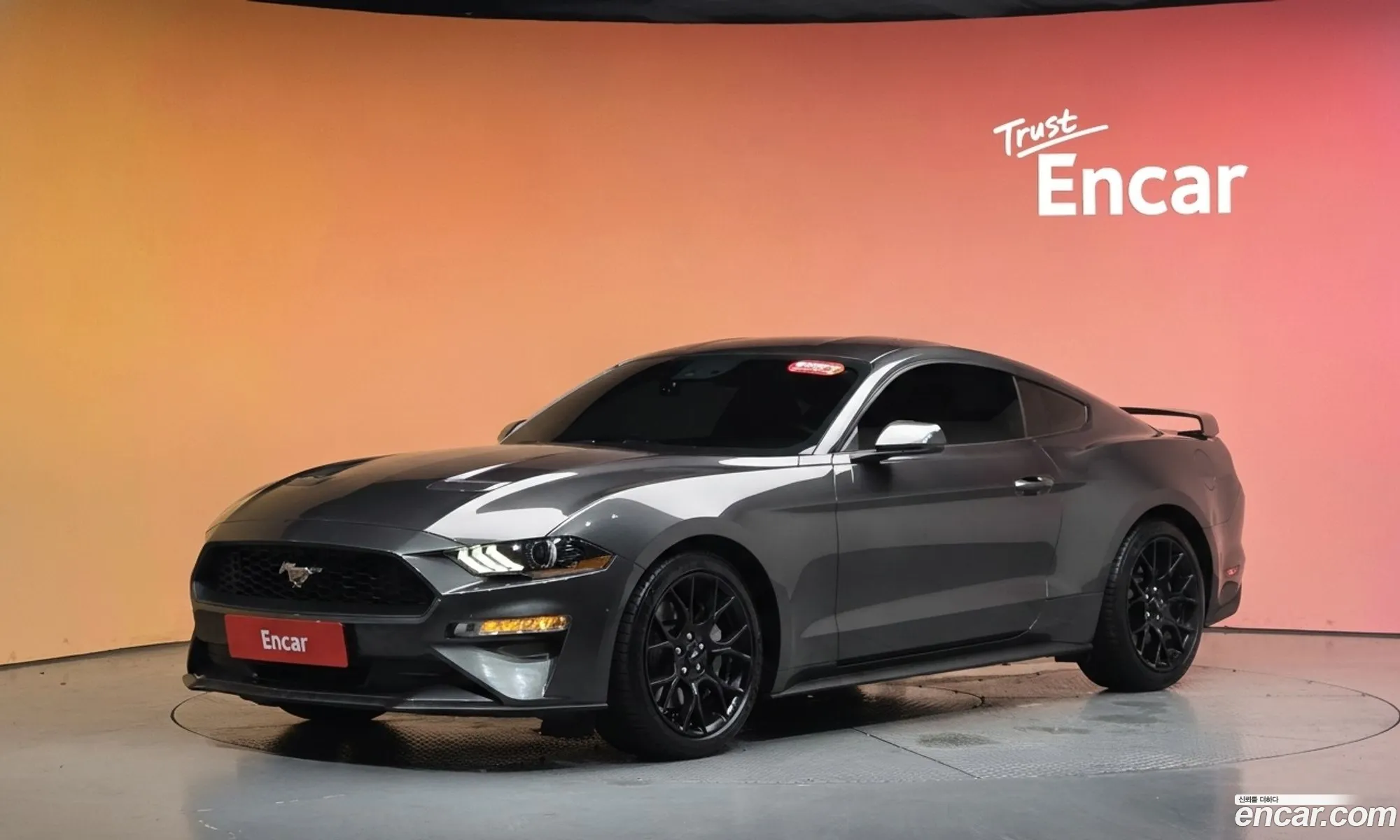 Ford Mustang 2019 1FA6P8TH0K5202998 — 8