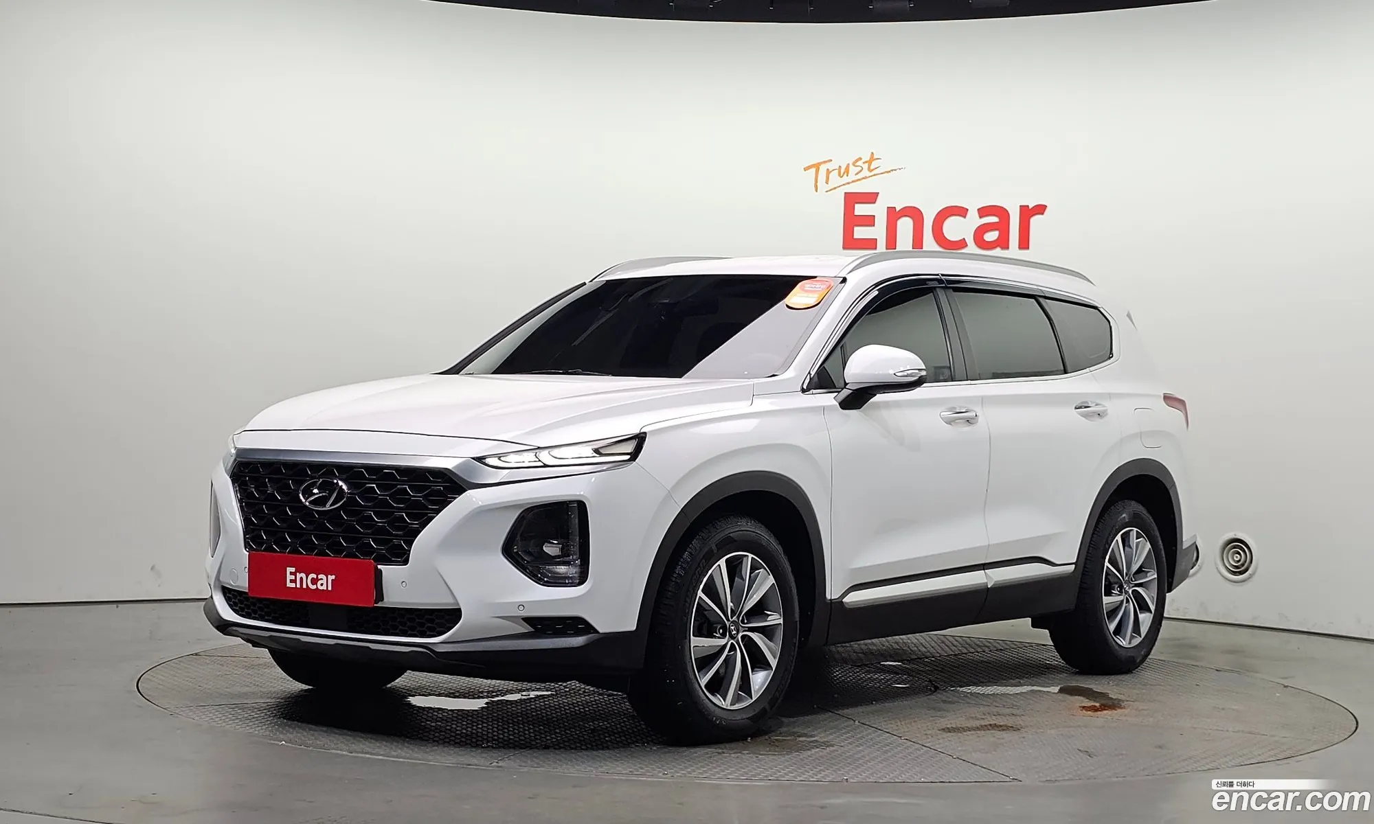Hyundai Santa Fe TM 2019 KMHS281BBLU189181 — 16