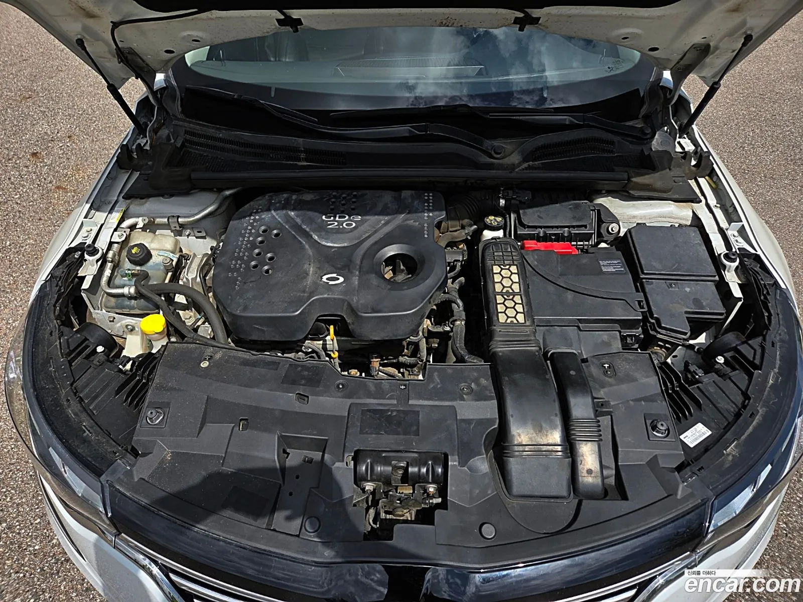 Renault Korea (Samsung) SM6 2019 — 15