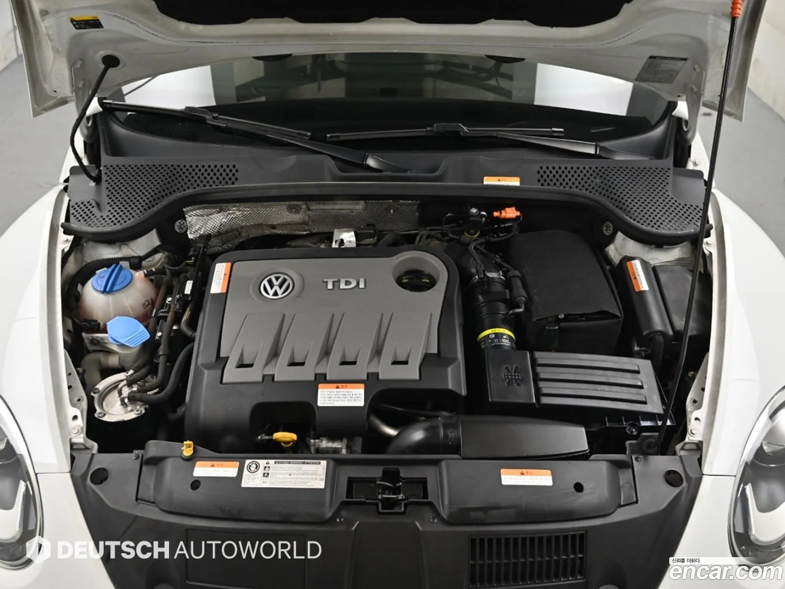 Volkswagen The Beetle 2014 — 4