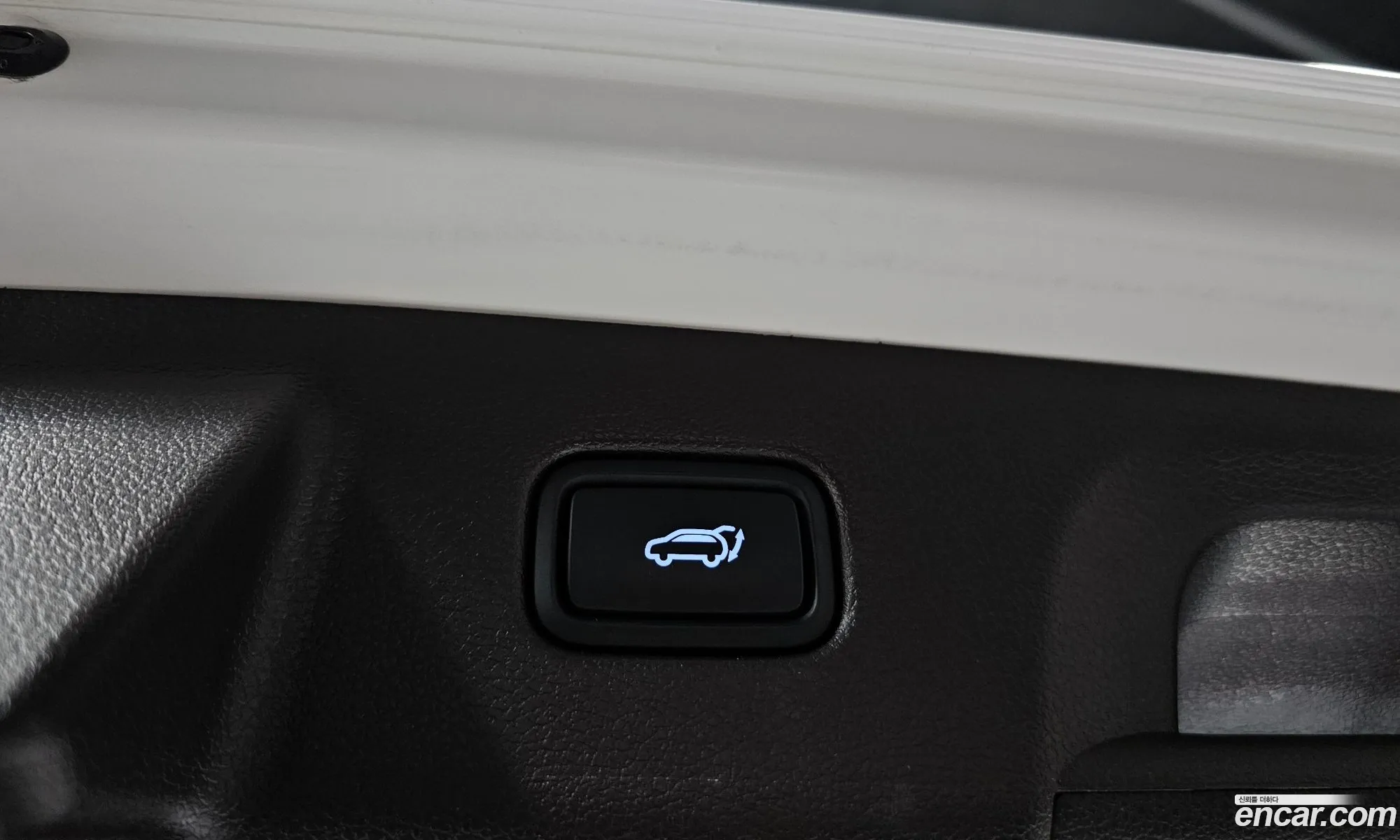 Hyundai Palisade 2023 KMHR581EDPU593994 — 9