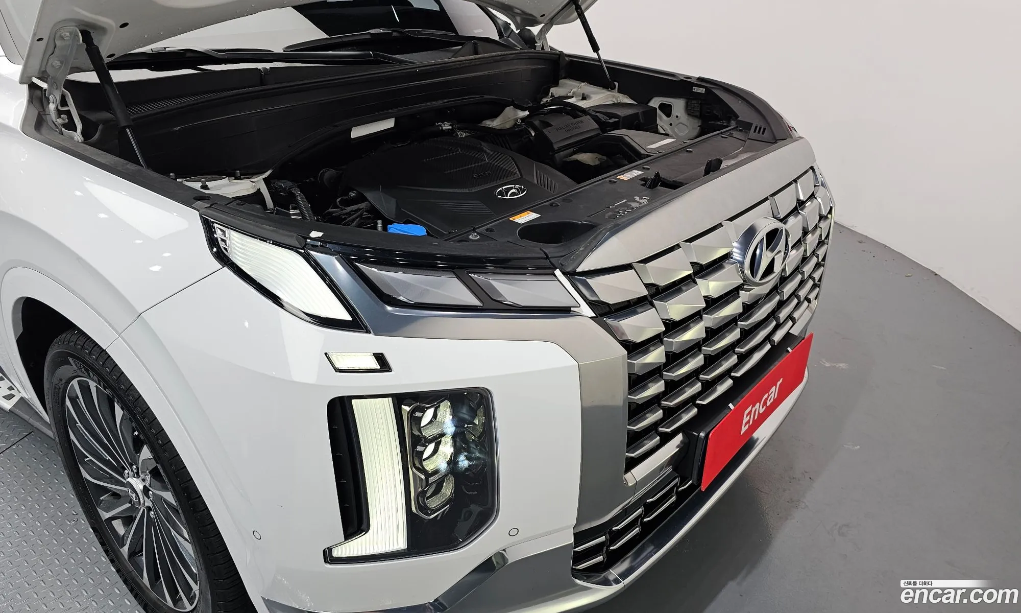 Hyundai Palisade 2023 KMHR581EDPU593994 — 13