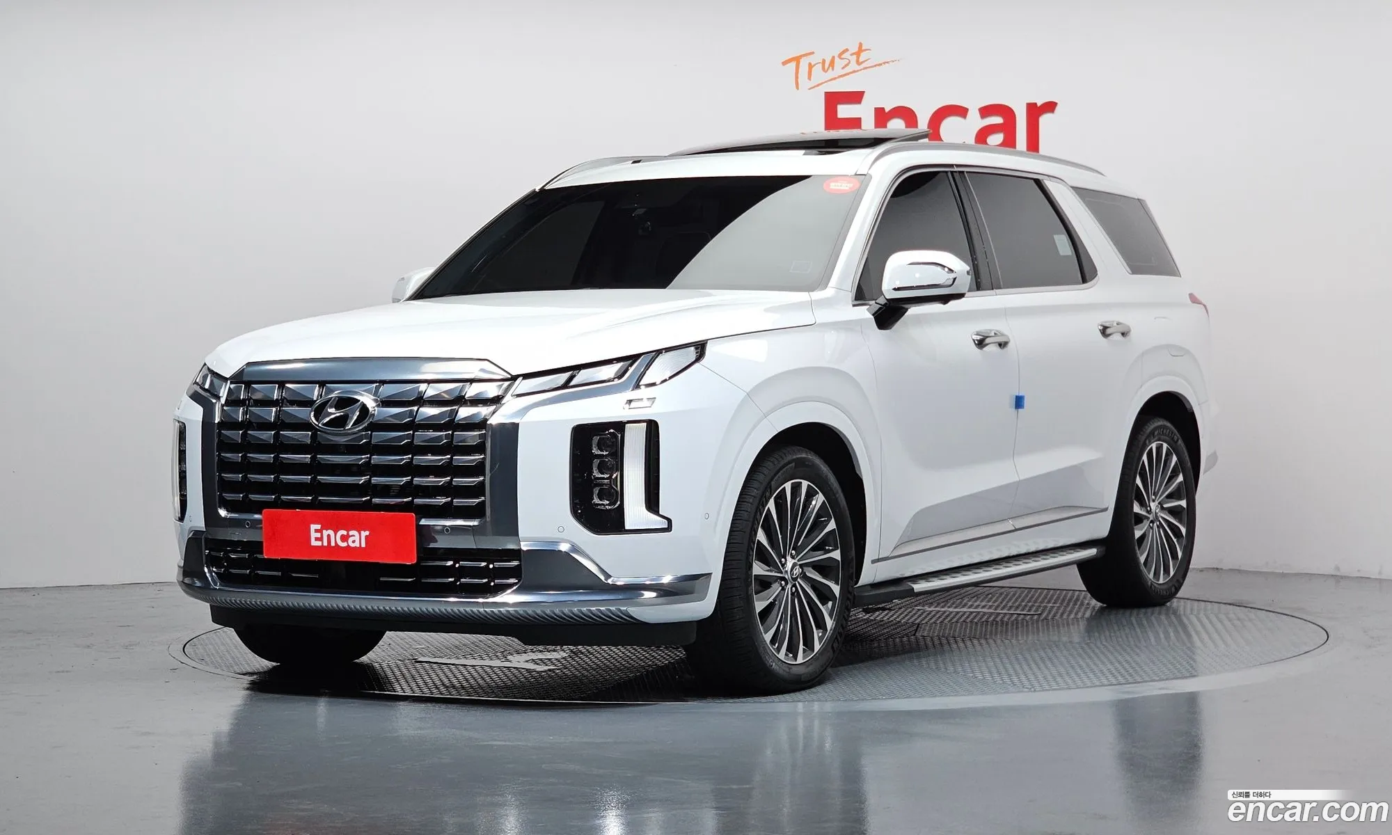 Hyundai Palisade 2023 KMHR581EDPU593994 — 21