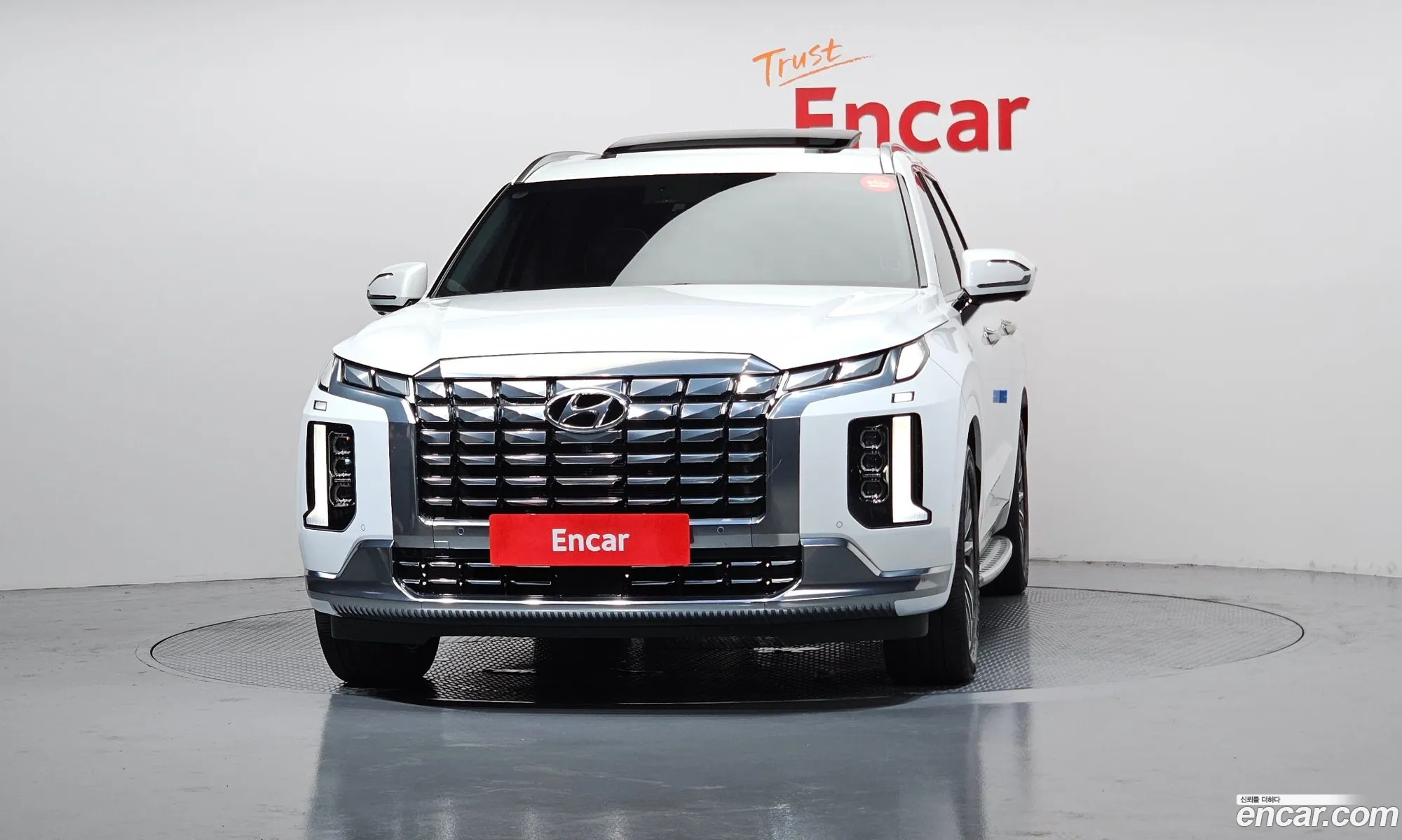 Hyundai Palisade 2023 KMHR581EDPU593994 — 26