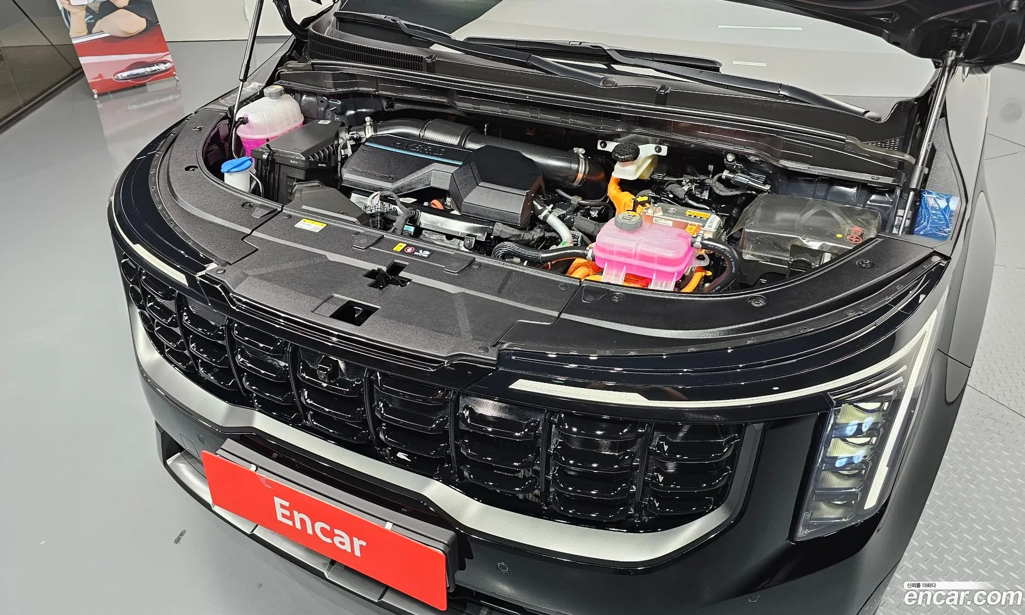 Kia Carnival 2024 KNANE81ABSS028288 — 28