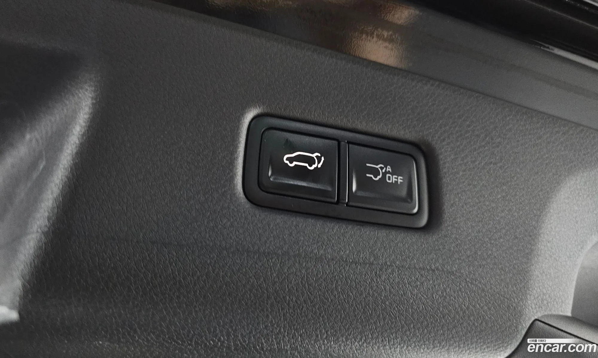 Kia Carnival 2024 KNANE81ABSS028288 — 2
