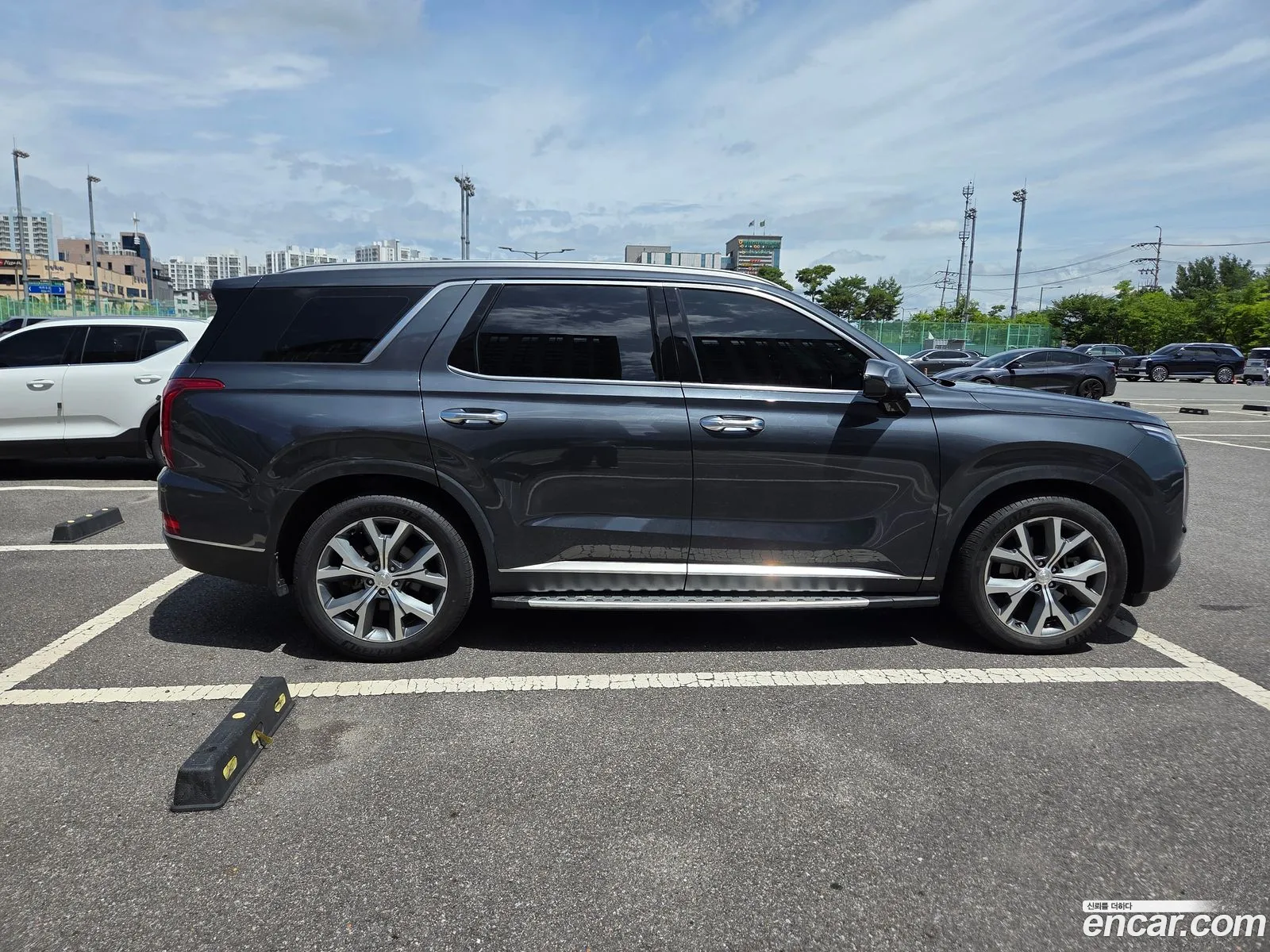 Hyundai Palisade 2020 — 3