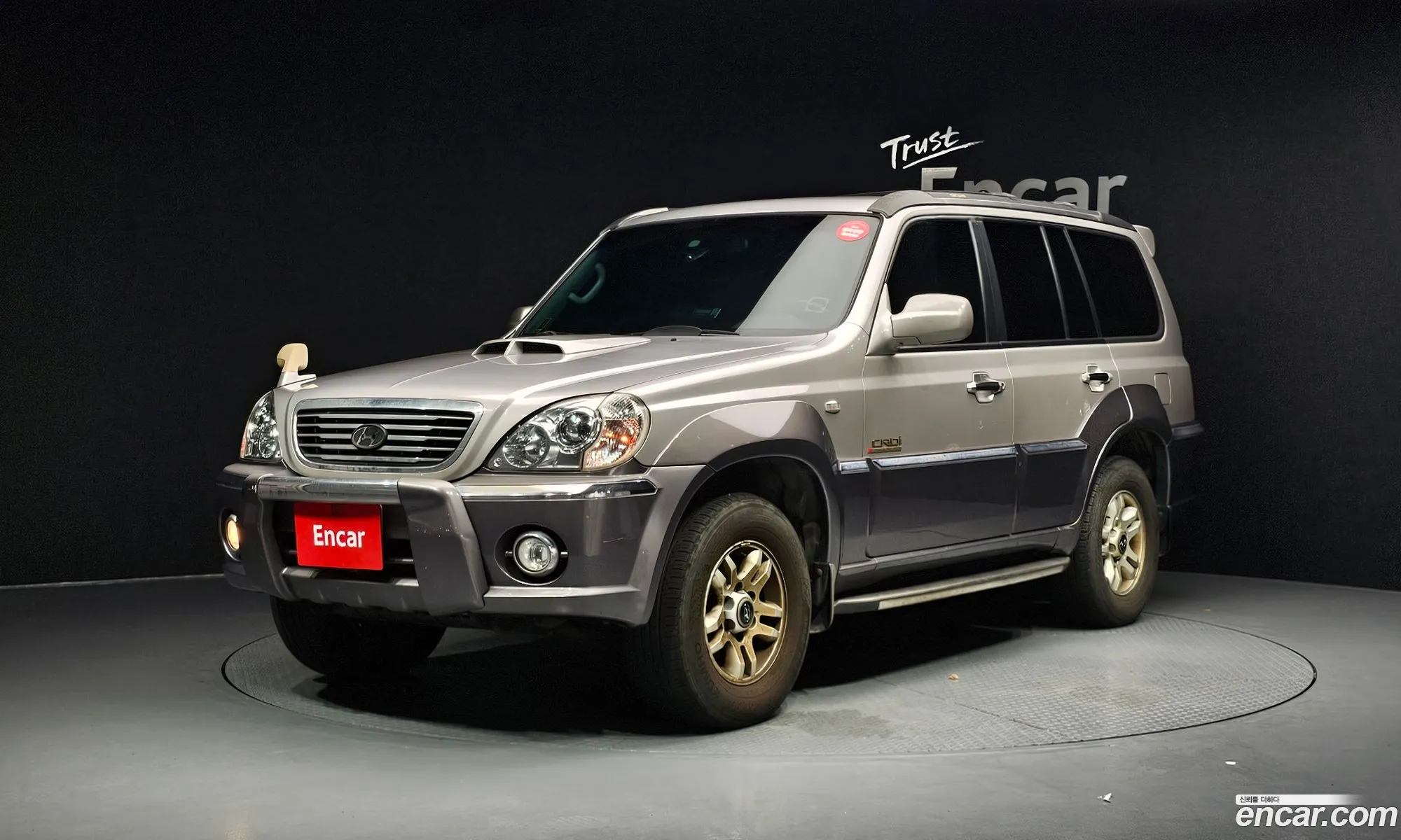 Hyundai Terracan 2004 KMHNN81XP4U136939 — 9