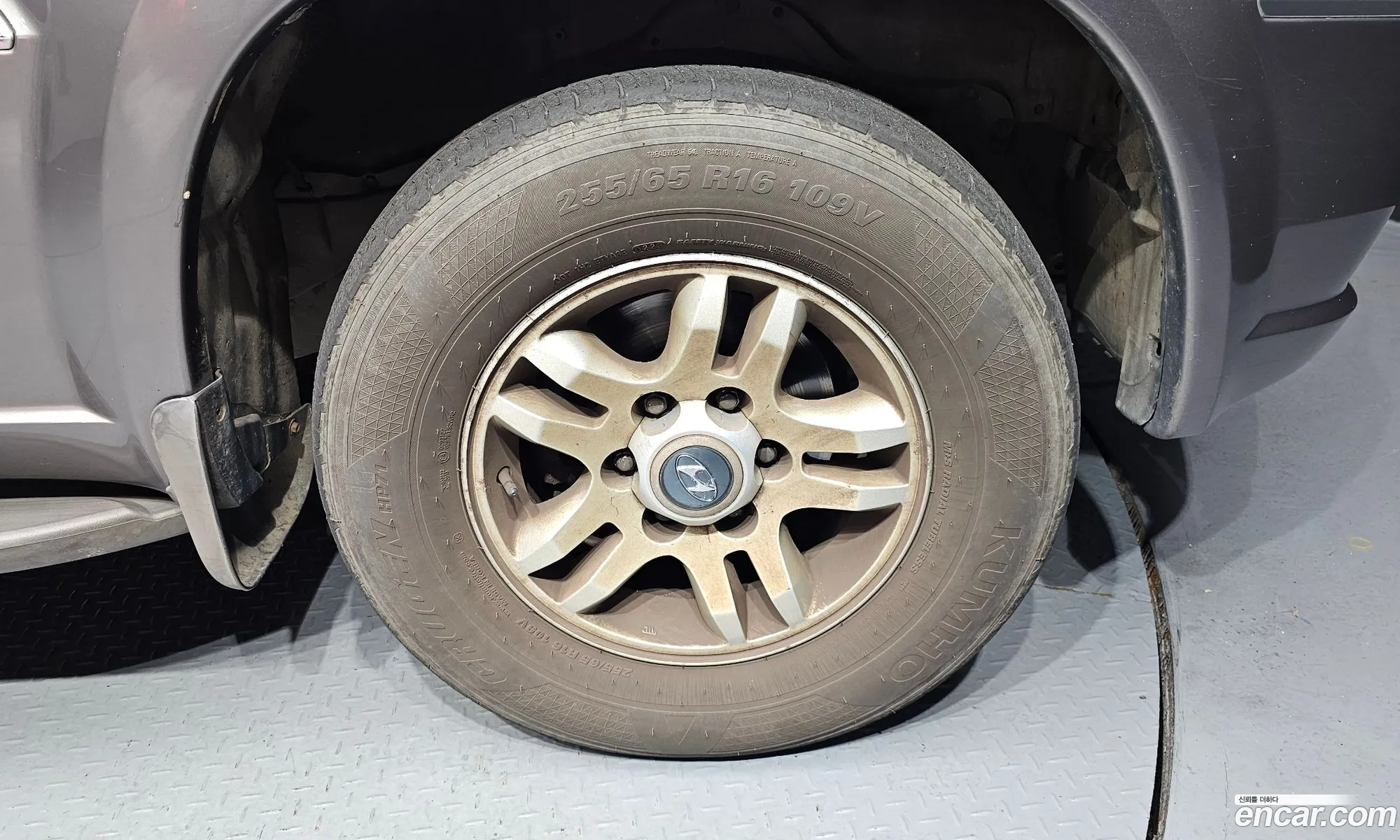 Hyundai Terracan 2004 KMHNN81XP4U136939 — 30