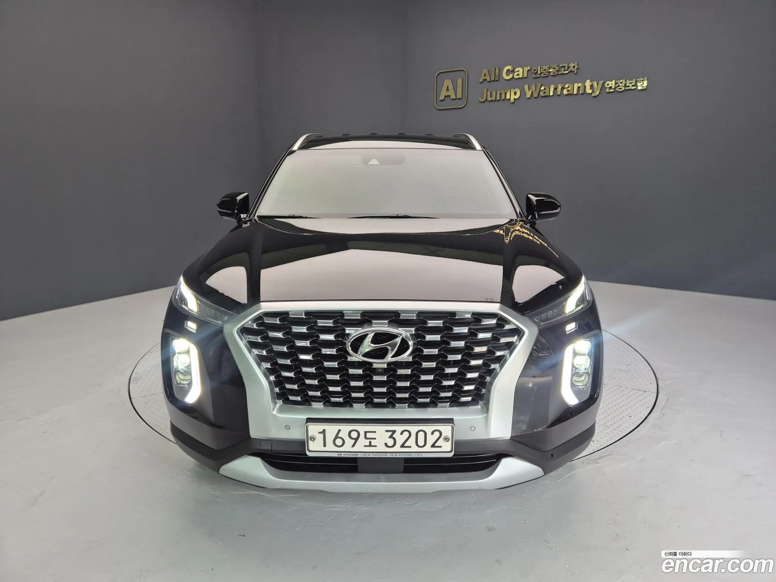 Hyundai Palisade 2021 — 19