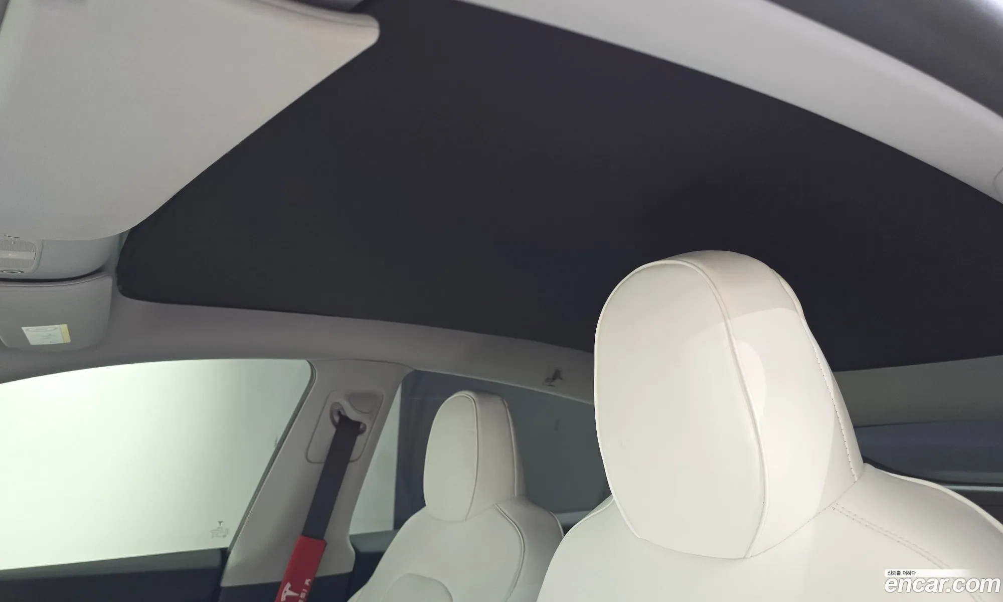Tesla Model Y 2023 LRWYGCFSXPC131077 — 29