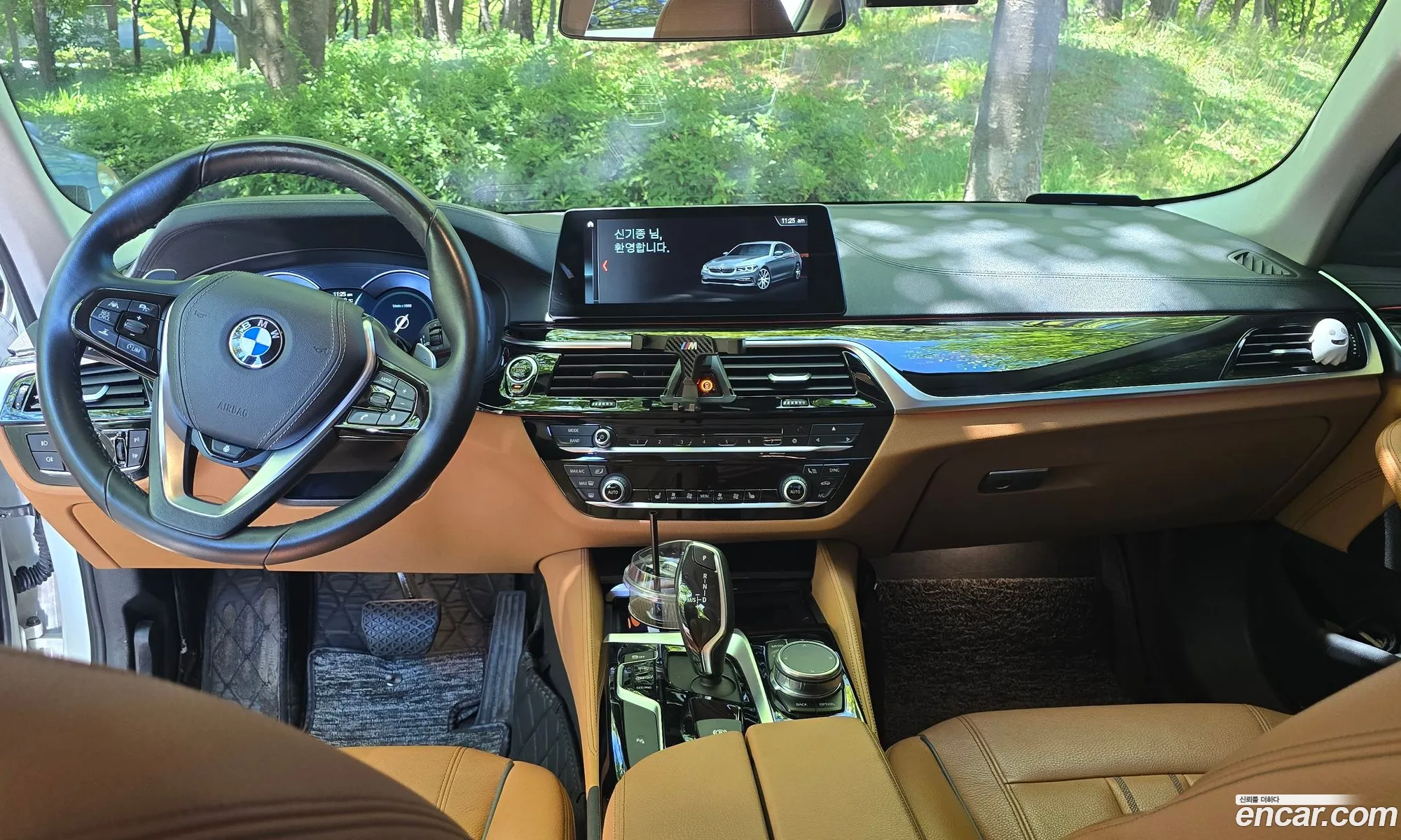 BMW 5 Series 2018 — 10