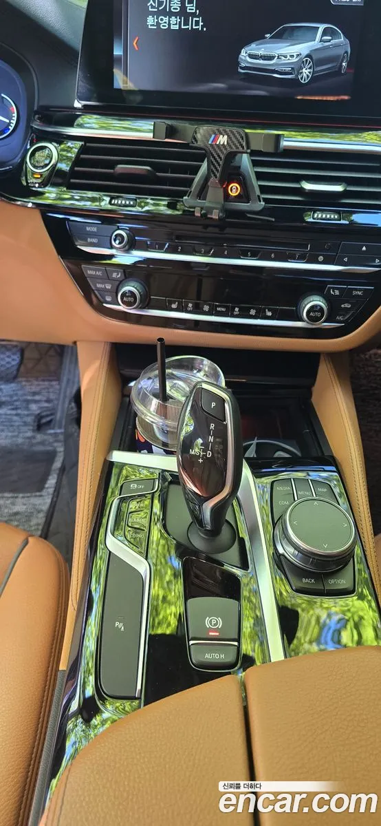 BMW 5 Series 2018 — 7