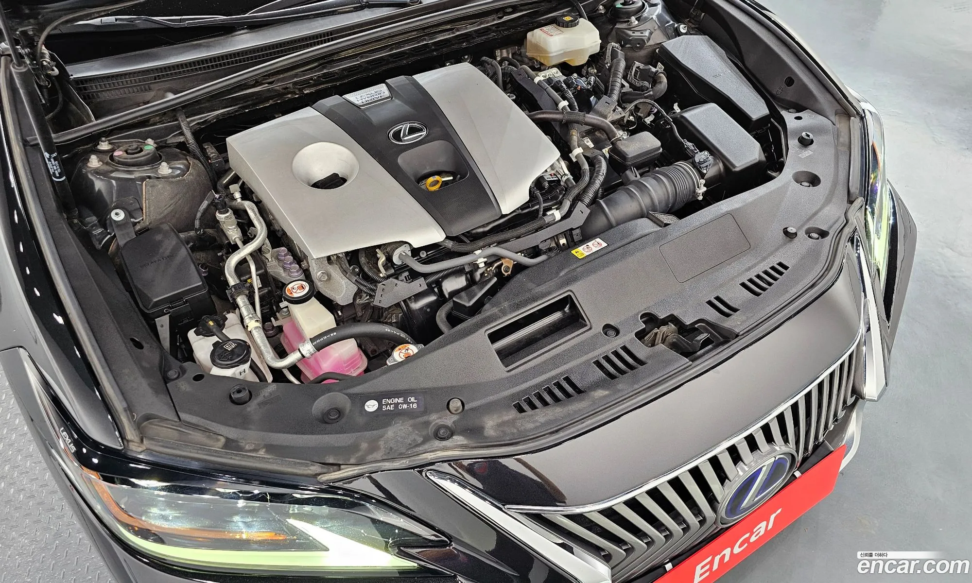 Lexus ES300h 7th Gen 2019 JTHB21B15K2068332 — 15