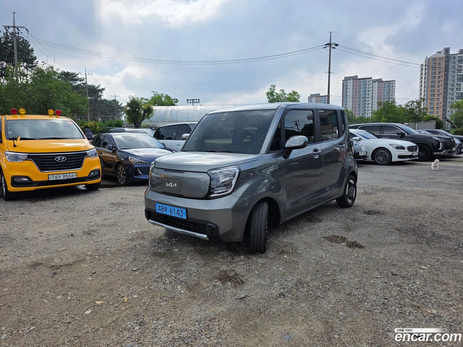 Kia Kia Ray EV 2024 — 4