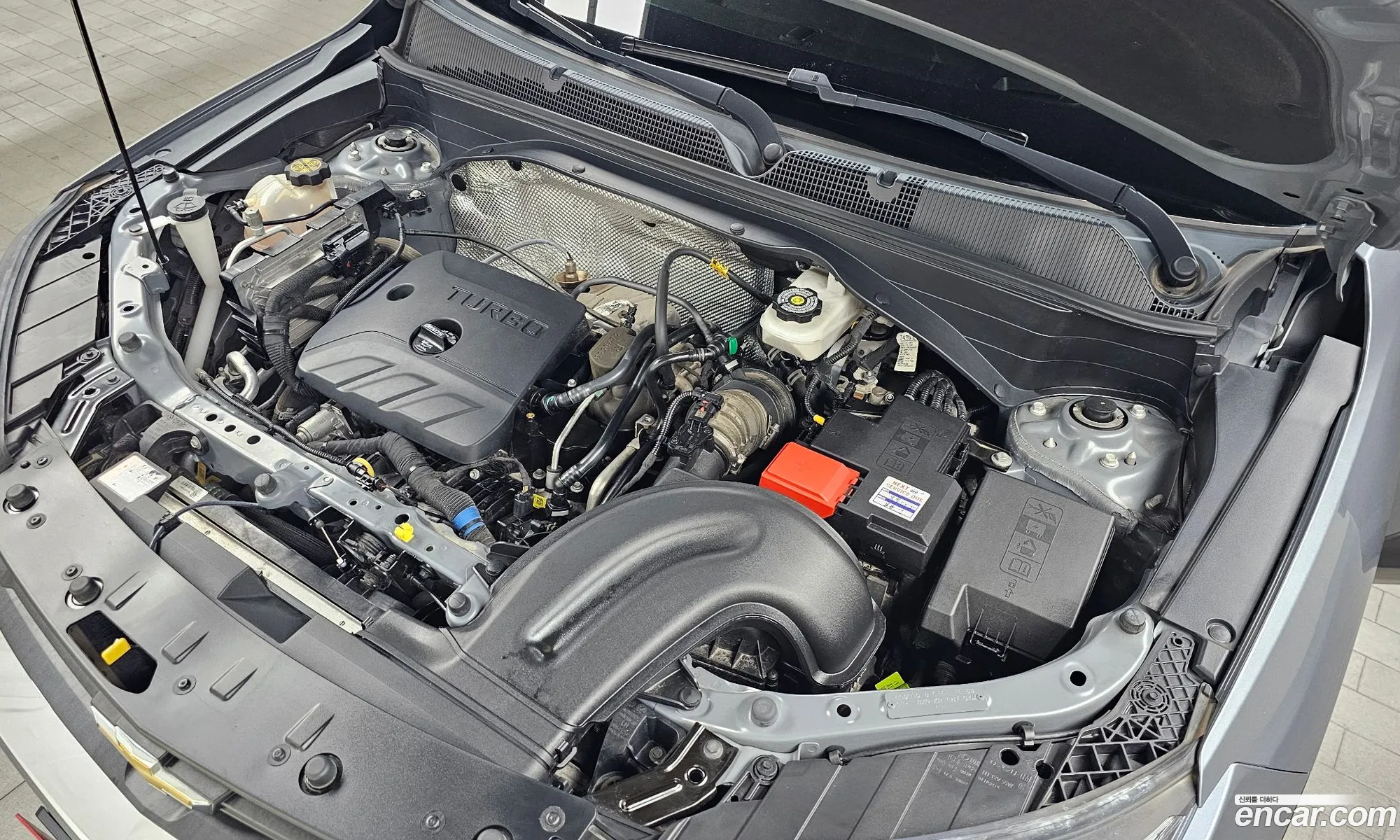Chevrolet (GM Daewoo) Trailblazer 2022 — 26