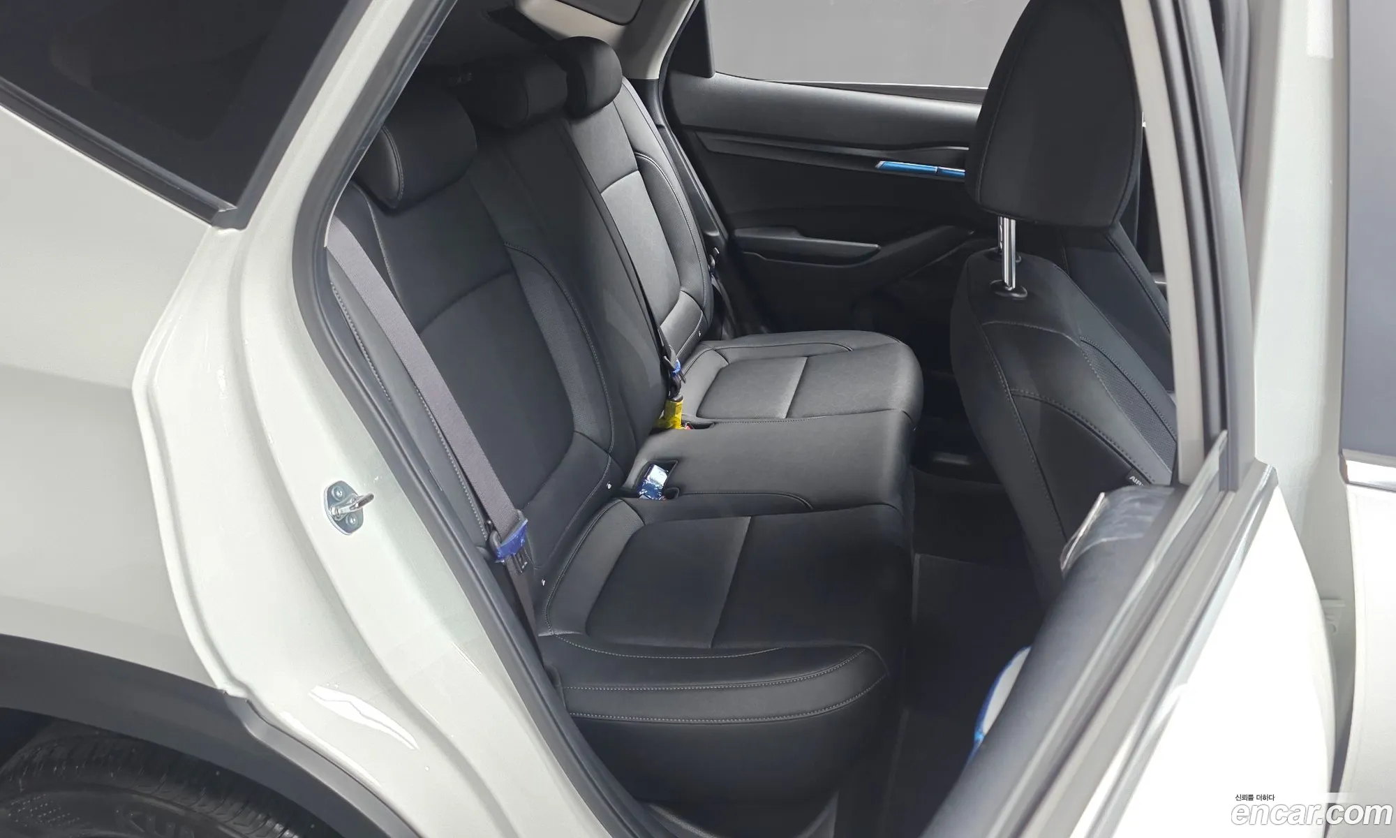 Kia Seltos 2025 KNAES81AESK819165 — 2