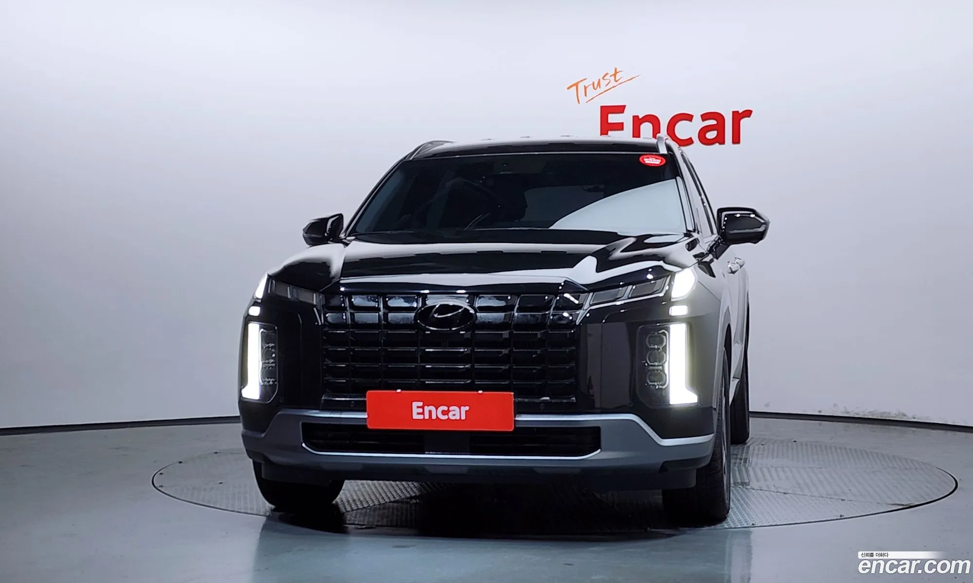 Hyundai Palisade 2024 — 11
