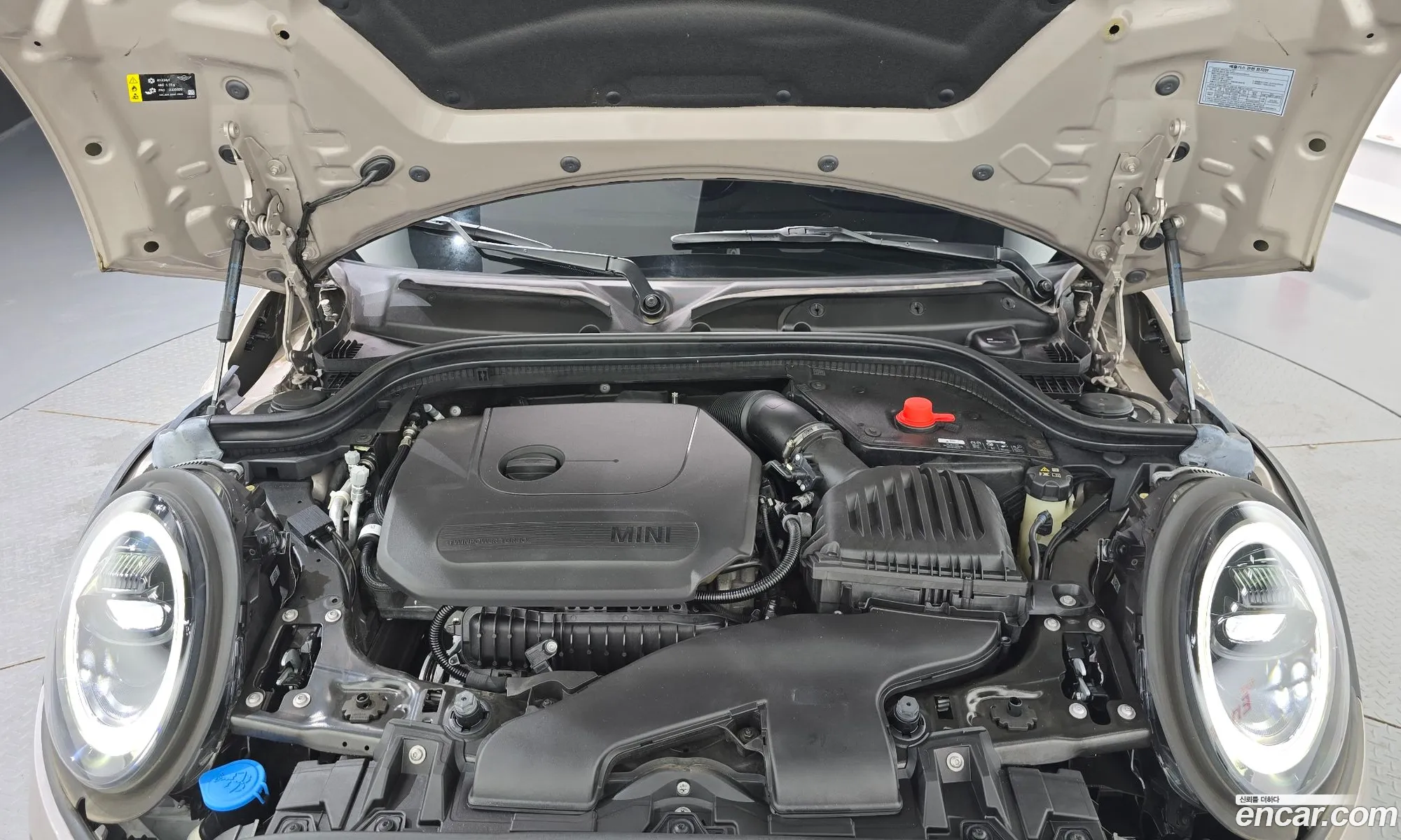 Mini Cooper 2024 WMW41DK08R2V41556 — 15