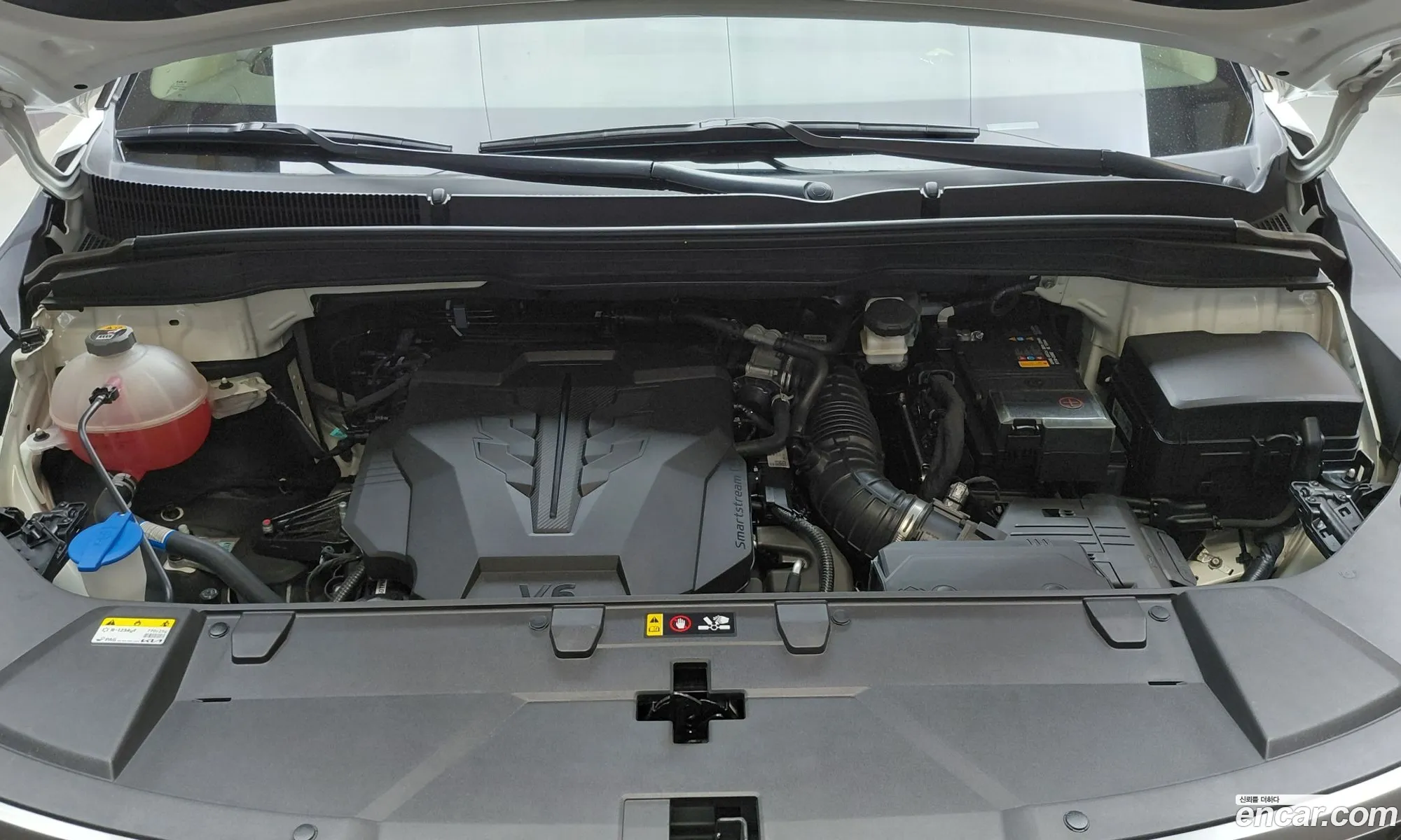 Kia Carnival 2023 KNANC813BPS314084 — 24