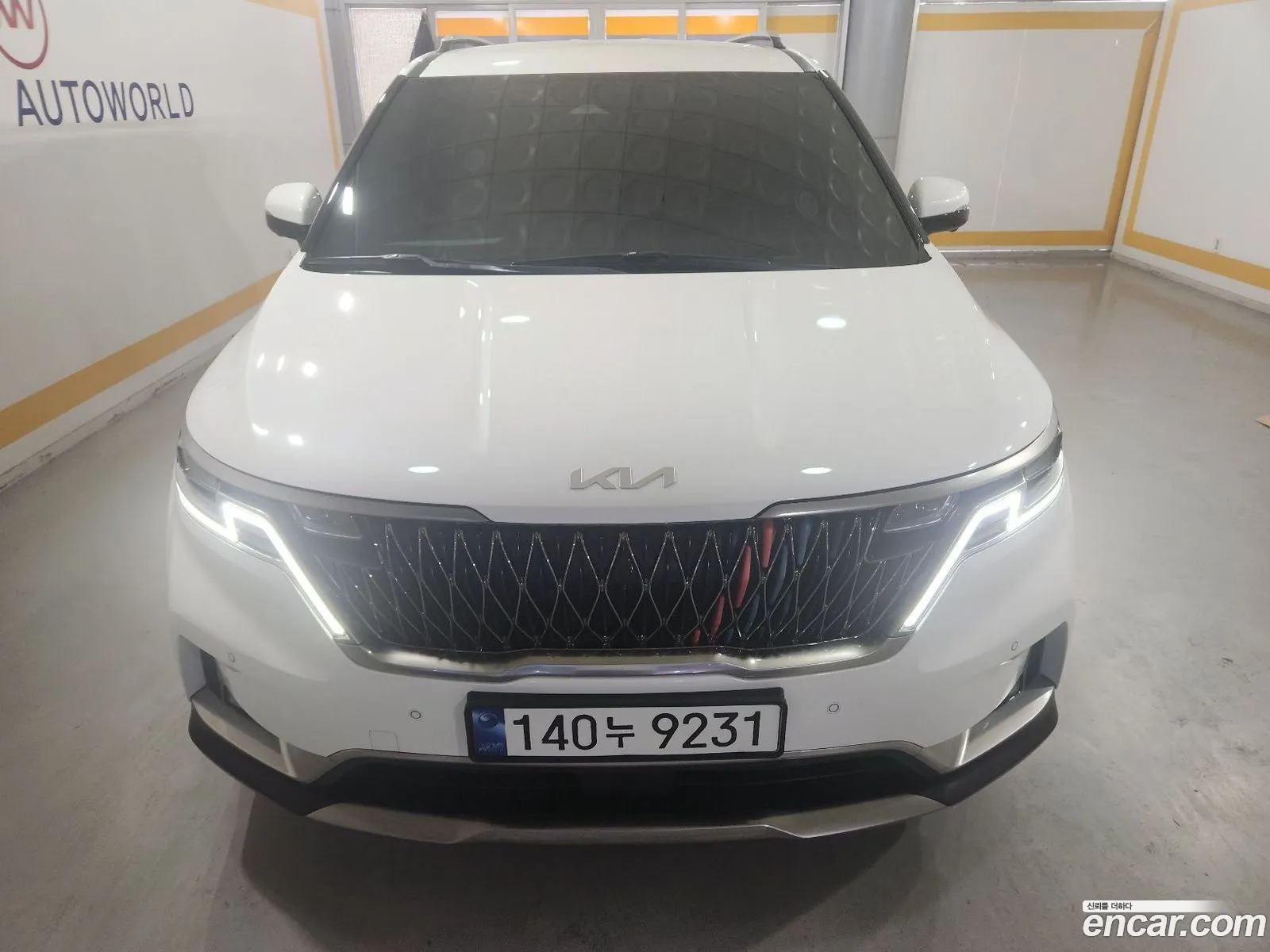 Kia Carnival 2023 — 17