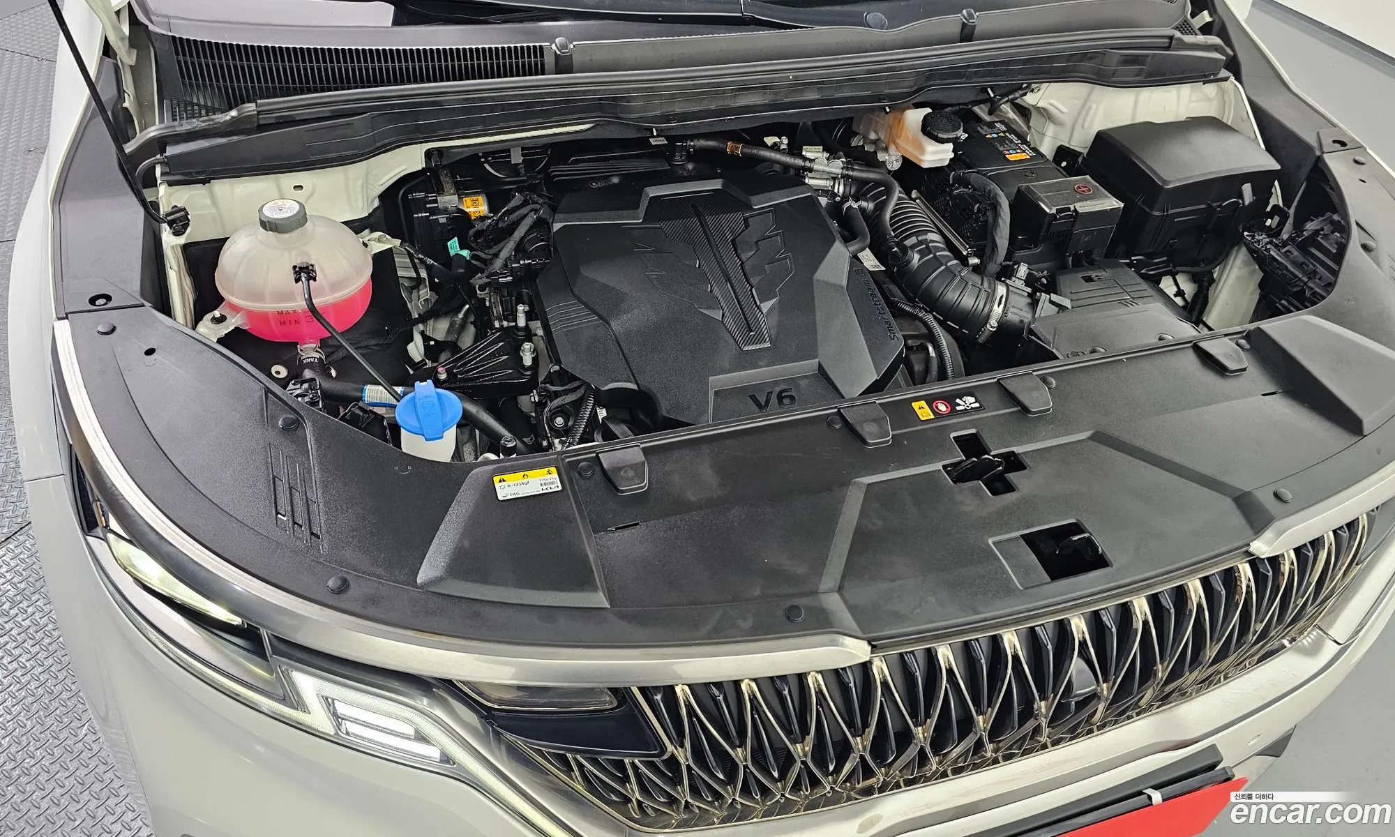 Kia Carnival 2022 KNANC813BPS204317 — 10