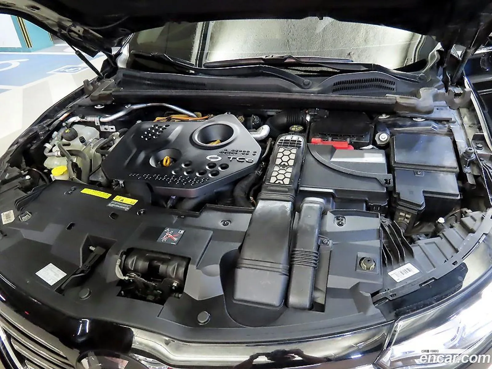 Renault Korea (Samsung) SM6 2016 — 10