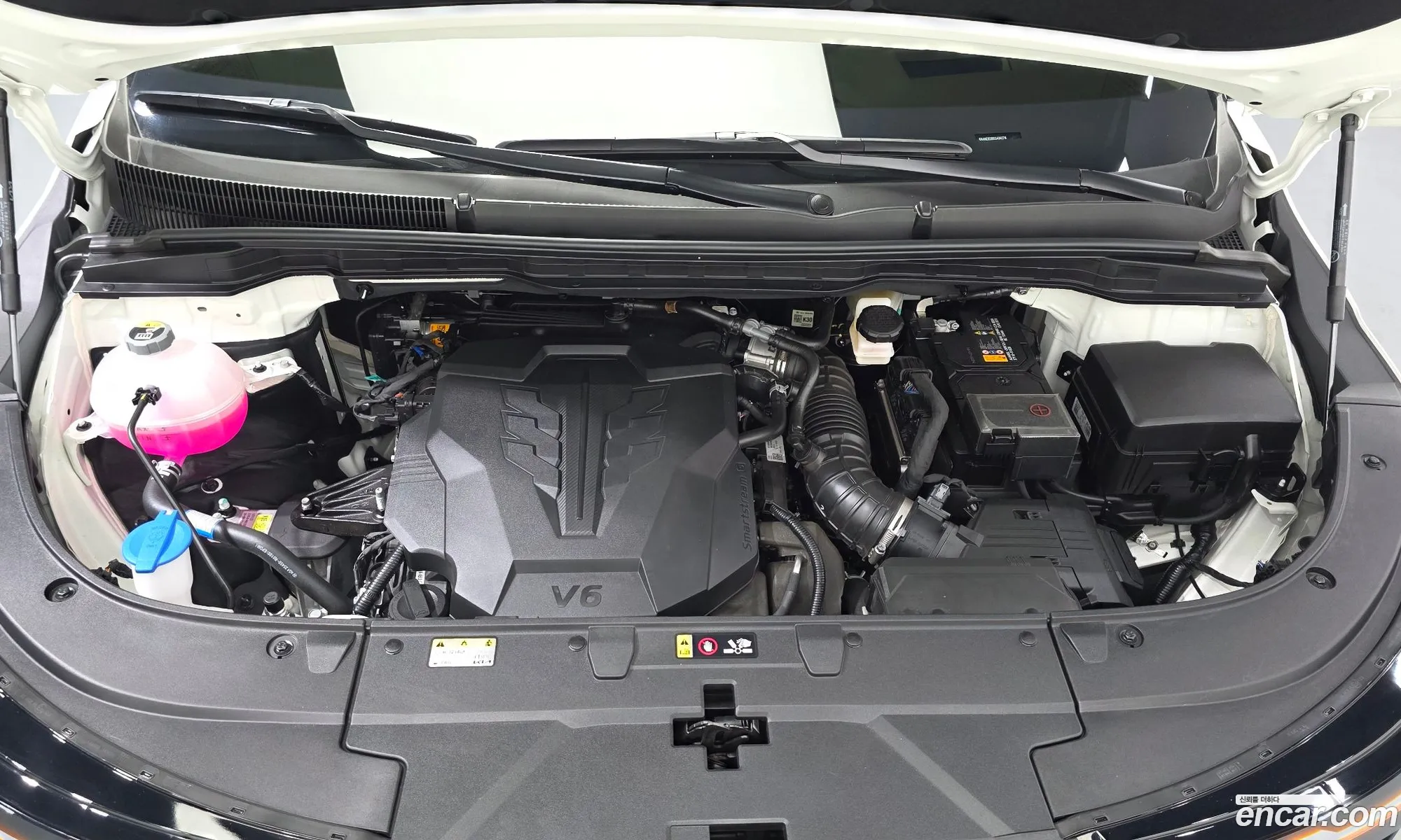 Kia Carnival 2024 — 6