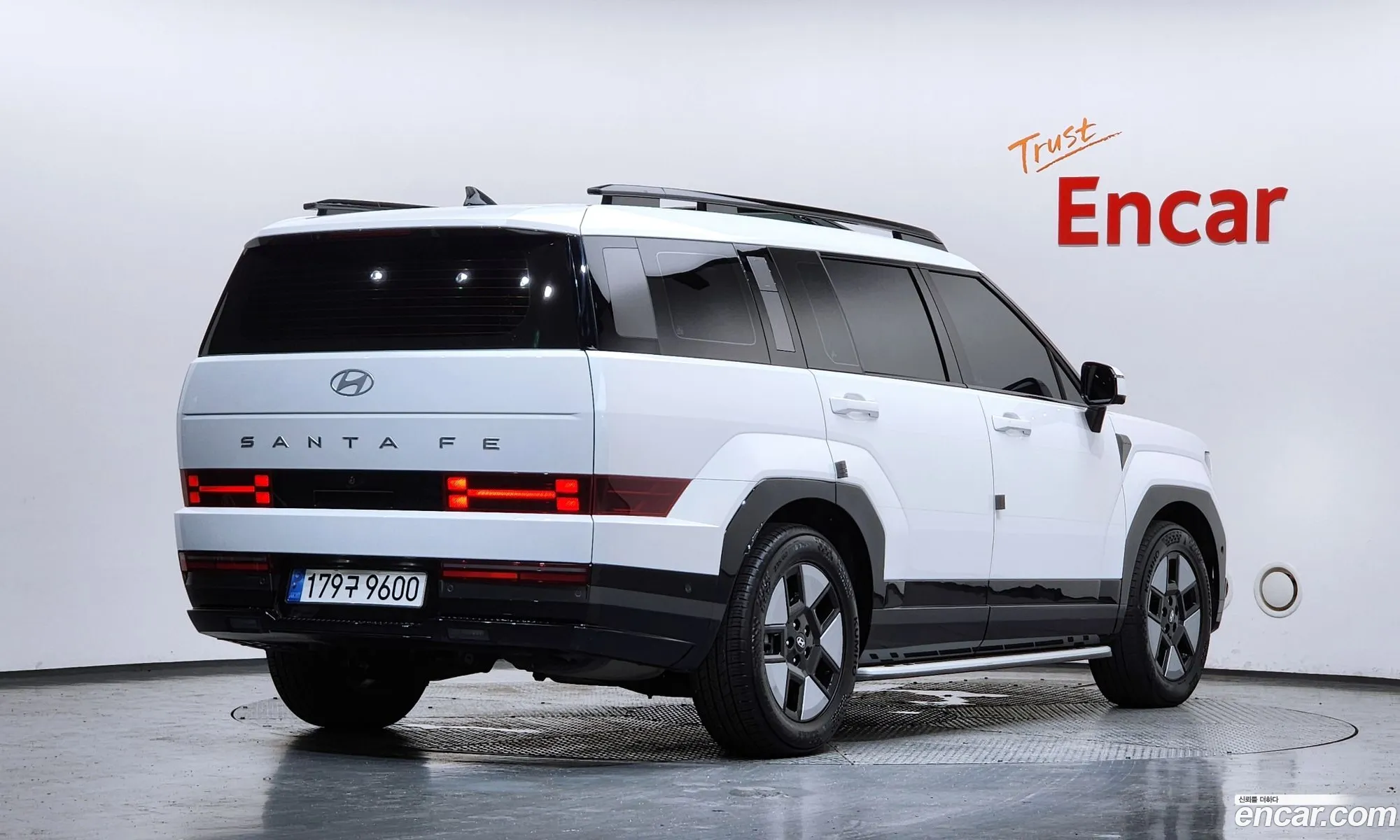 Hyundai Santa Fe 2024 — 12