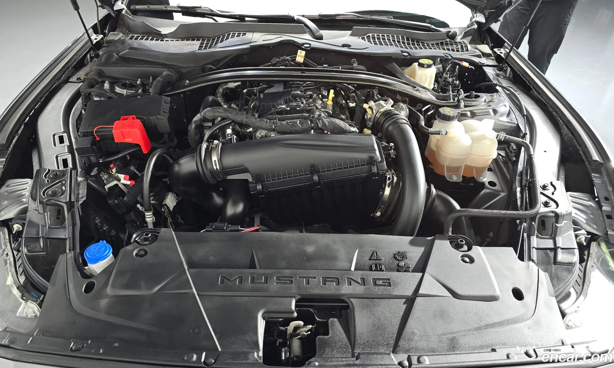 Ford Mustang 7th Gen 2024 — 12