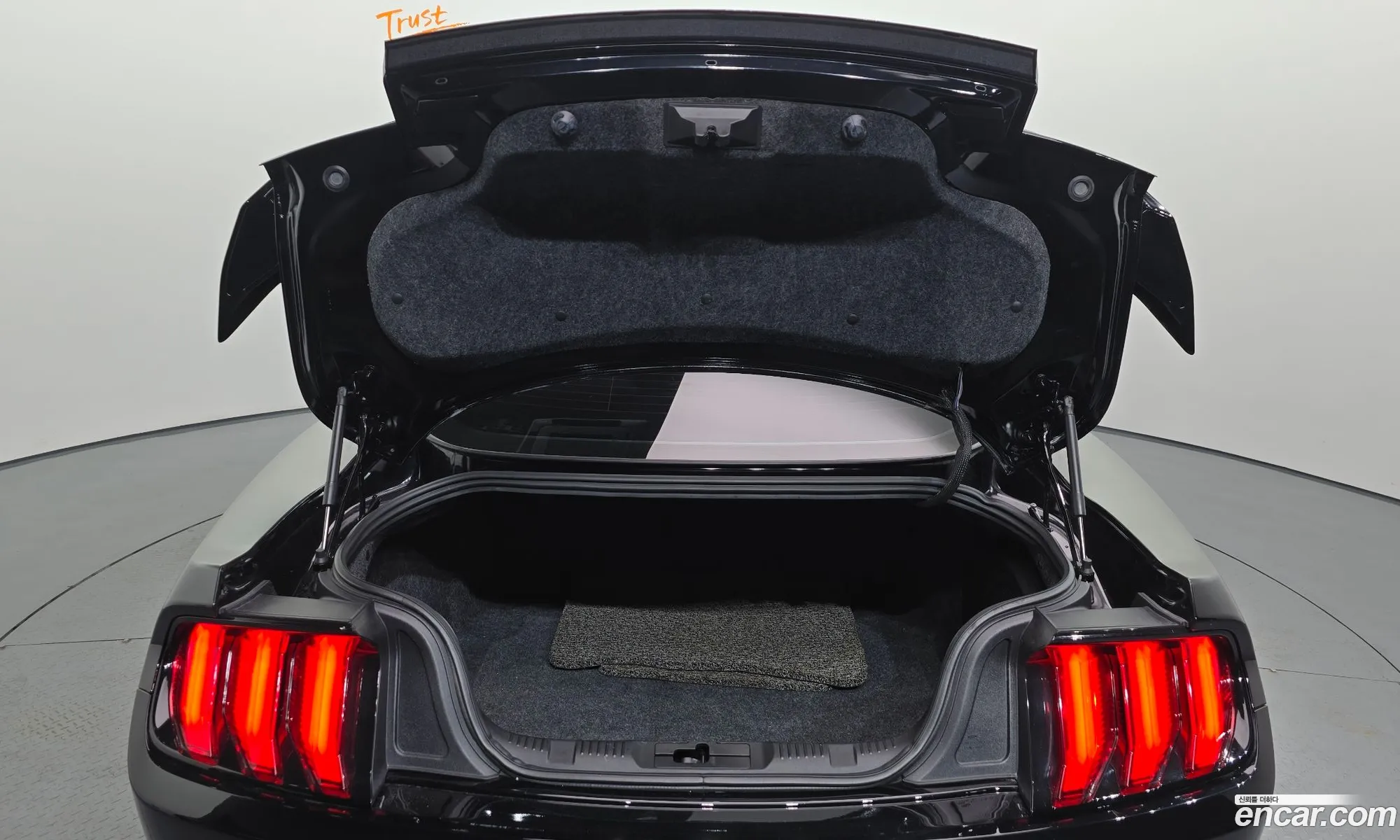 Ford Mustang 2019 1FA6P8TH8K5128200 — 2