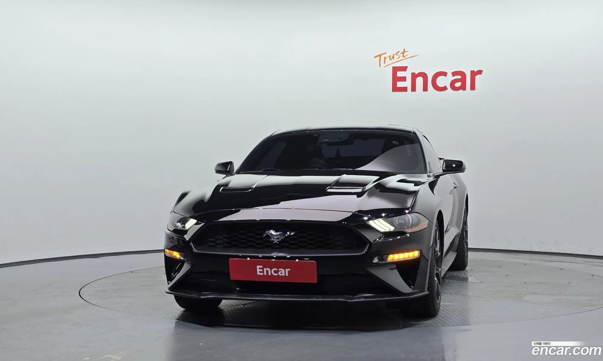 Ford Mustang 2019 1FA6P8TH8K5128200 — 19