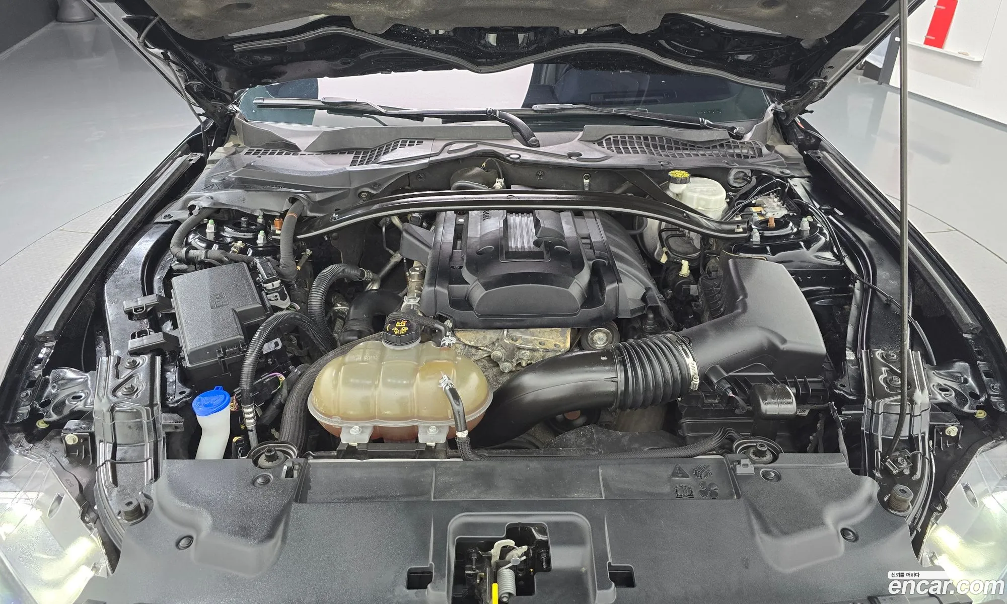 Ford Mustang 2019 1FA6P8TH8K5128200 — 12
