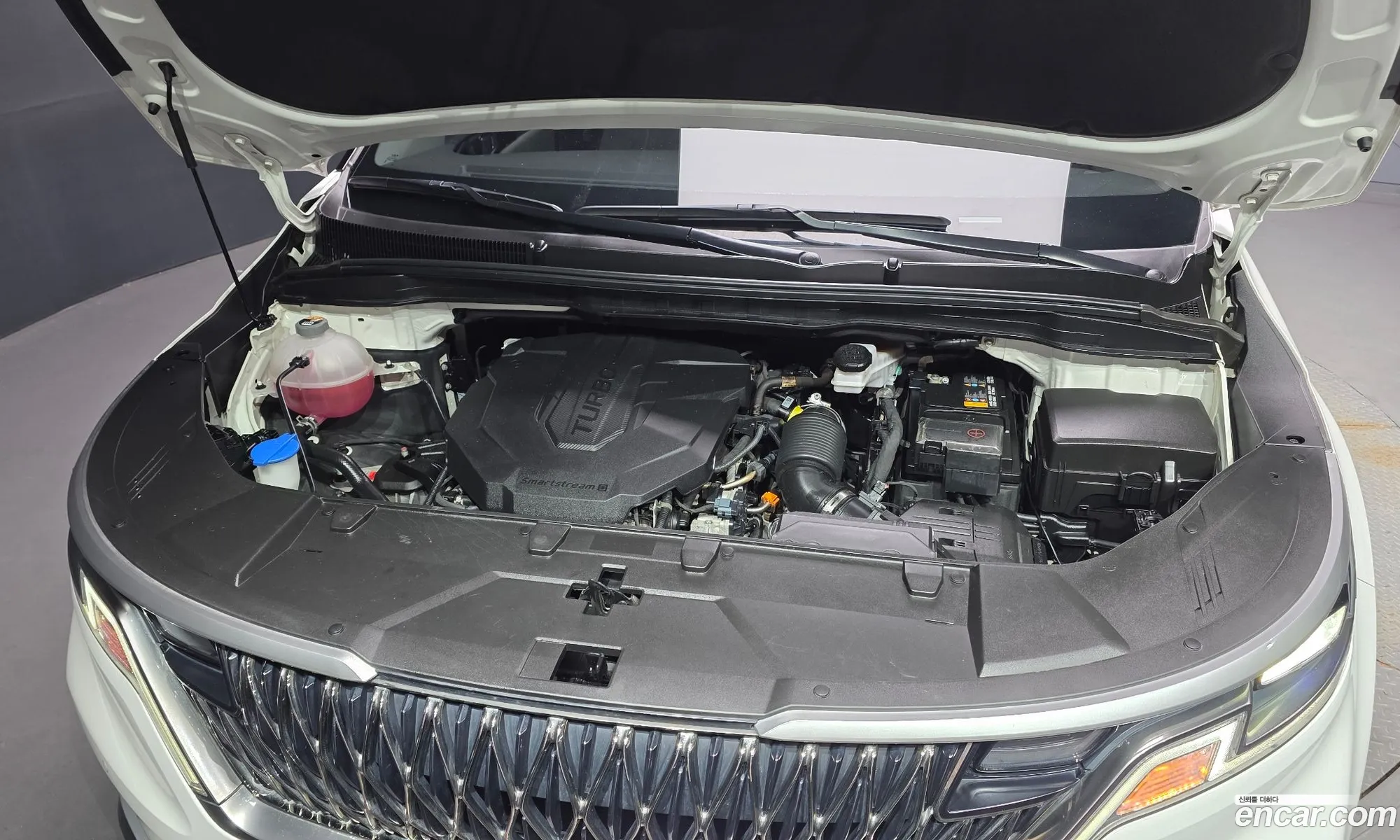 Kia Carnival 2022 KNANB81BBPS201269 — 2